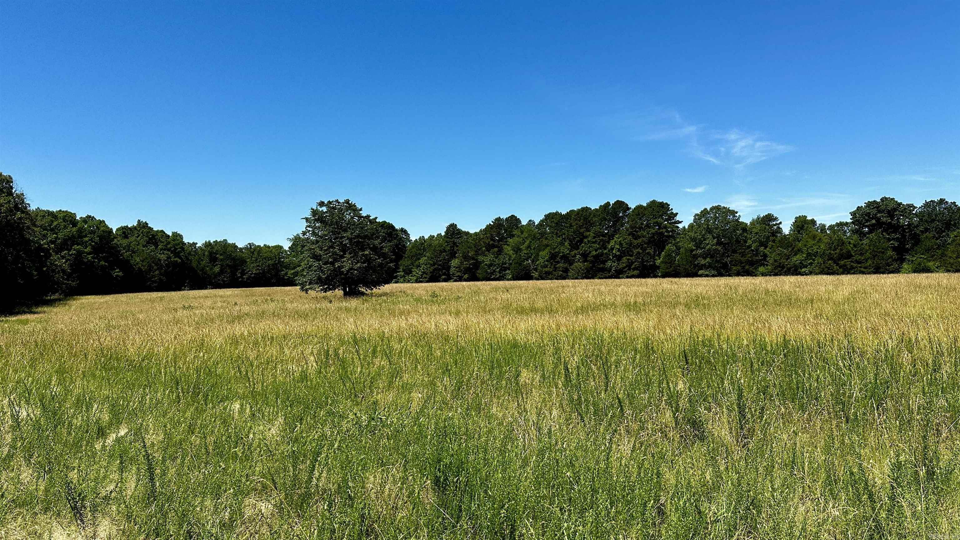 Metes &amp; Bounds - Farm