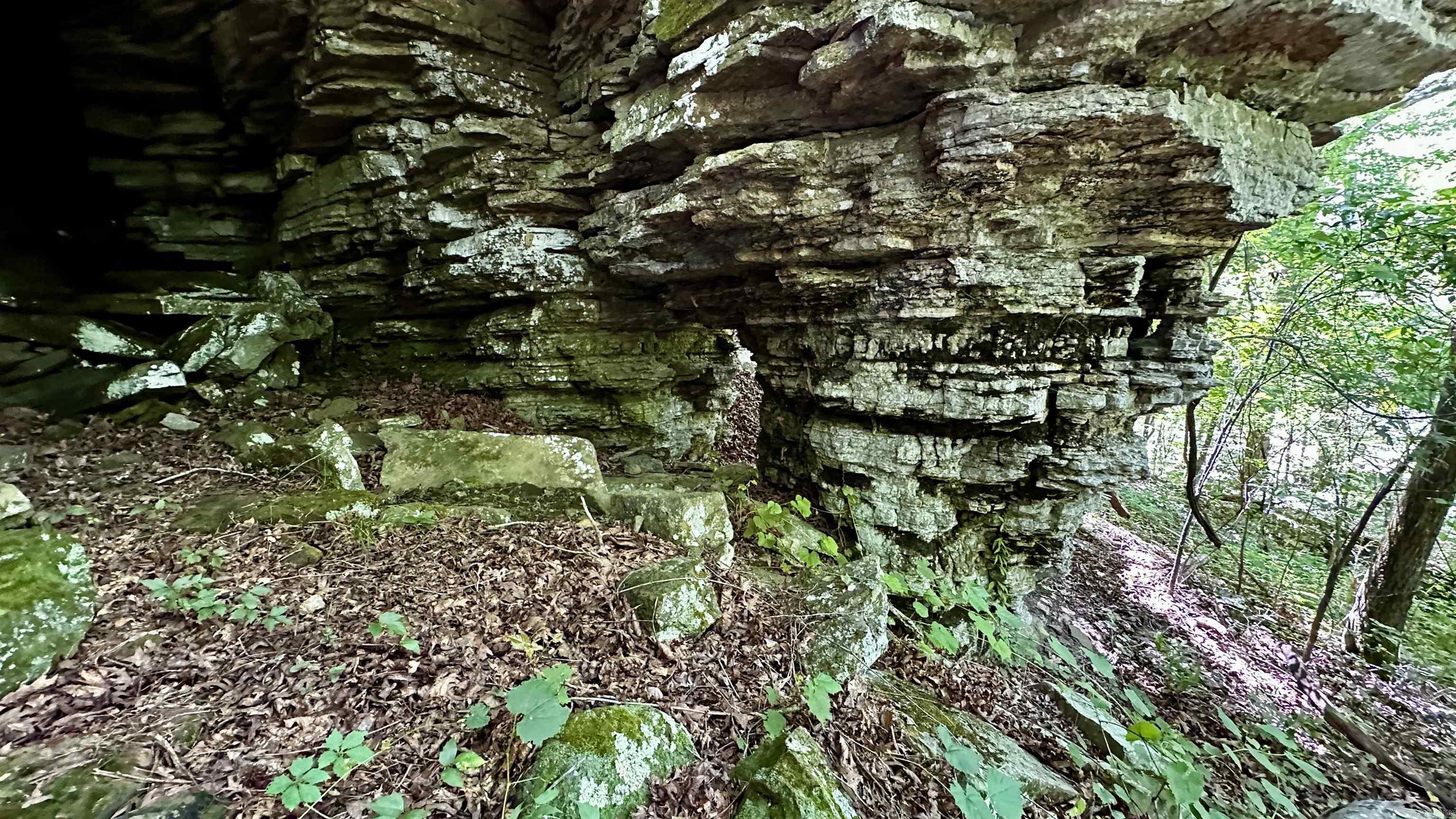 Metes &amp; Bounds - Farm