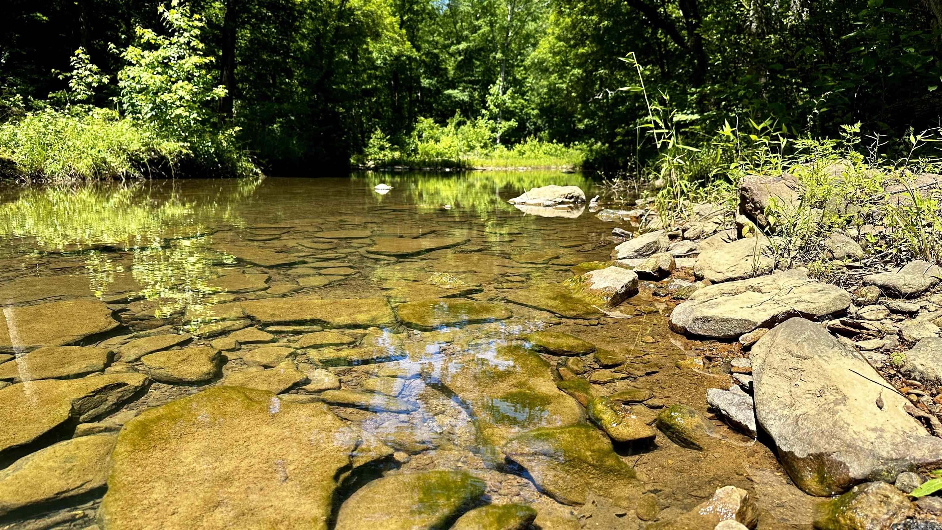 Metes &amp; Bounds - Farm