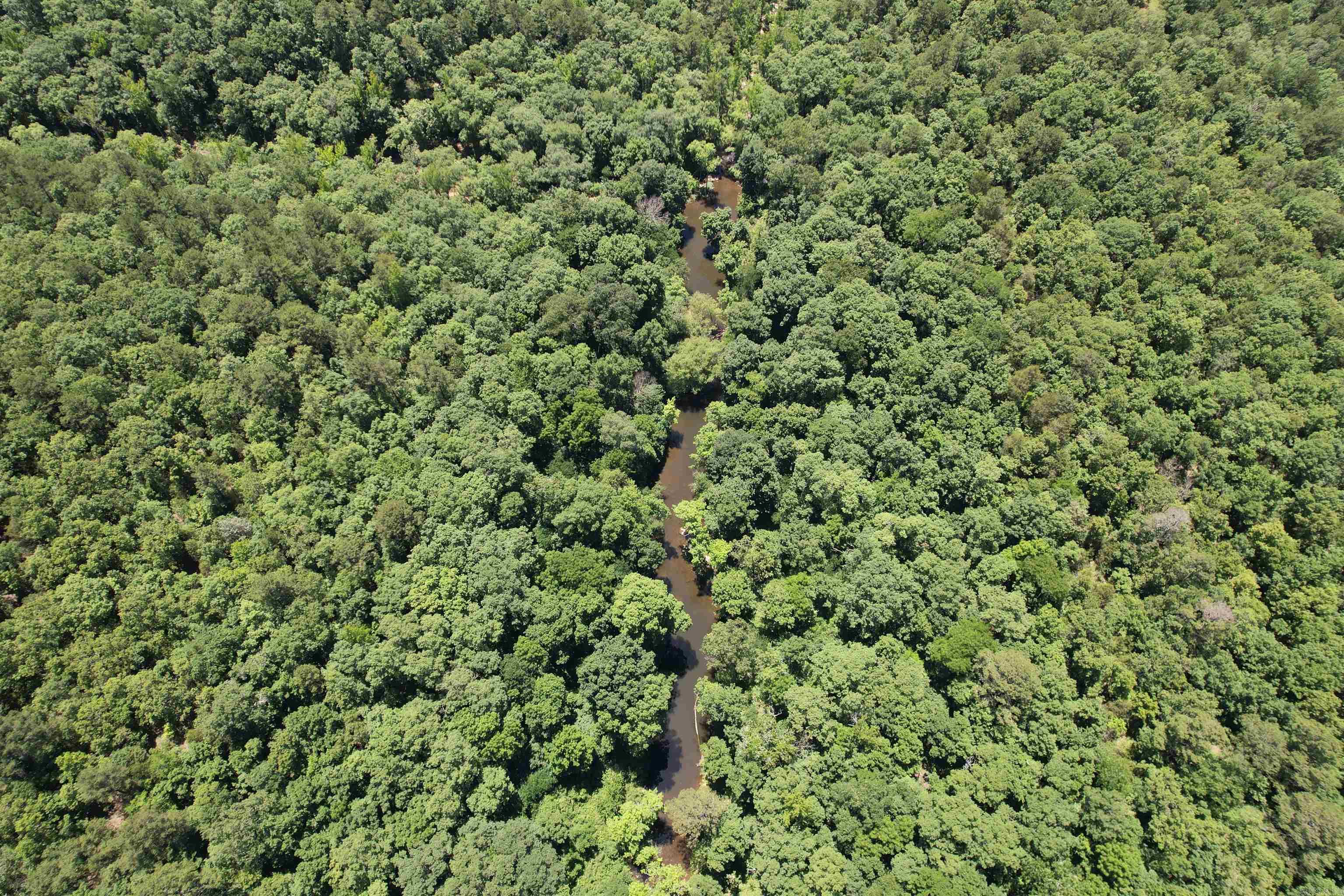 Metes &amp; Bounds - Farm