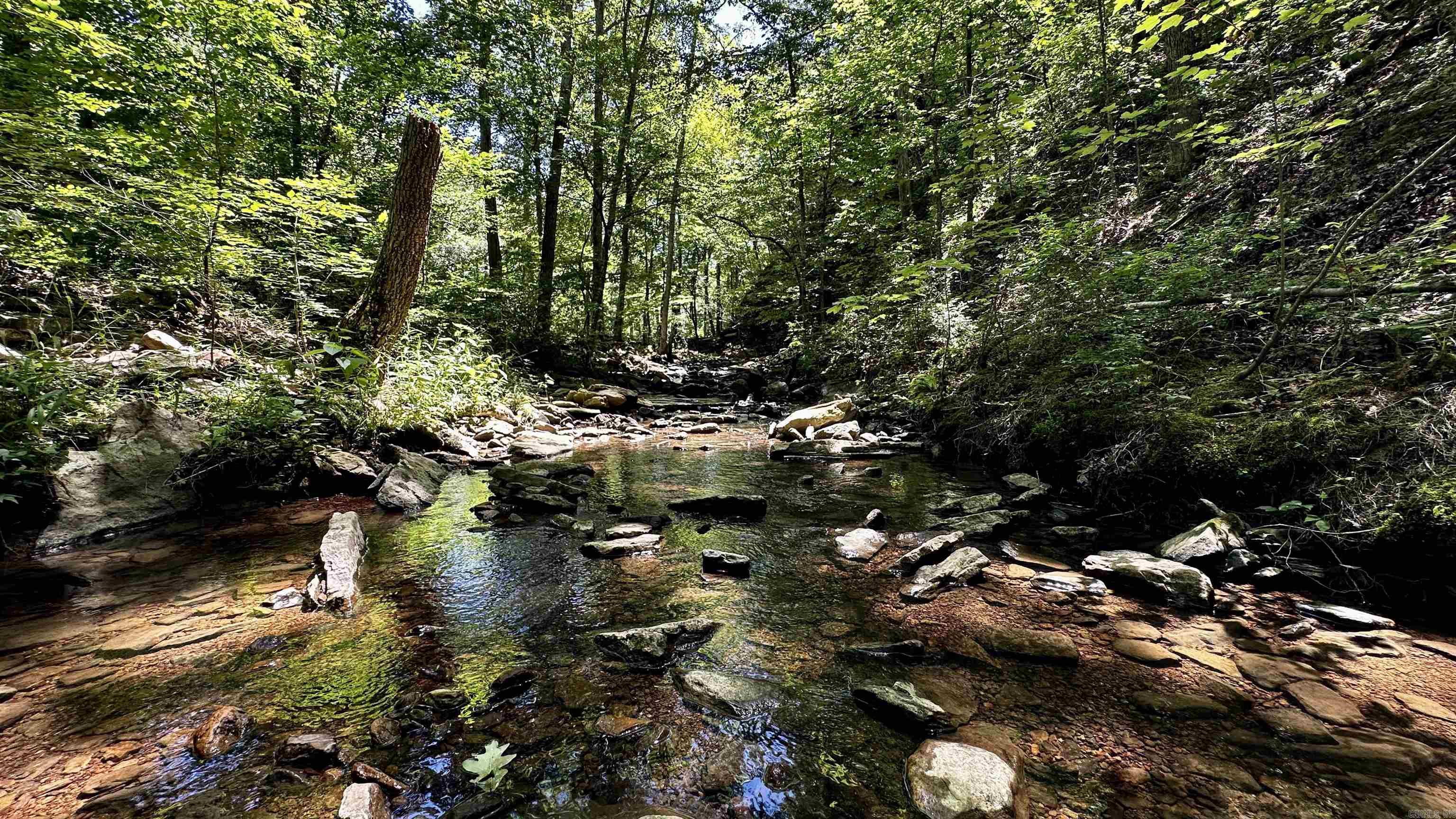 Metes &amp; Bounds - Farm