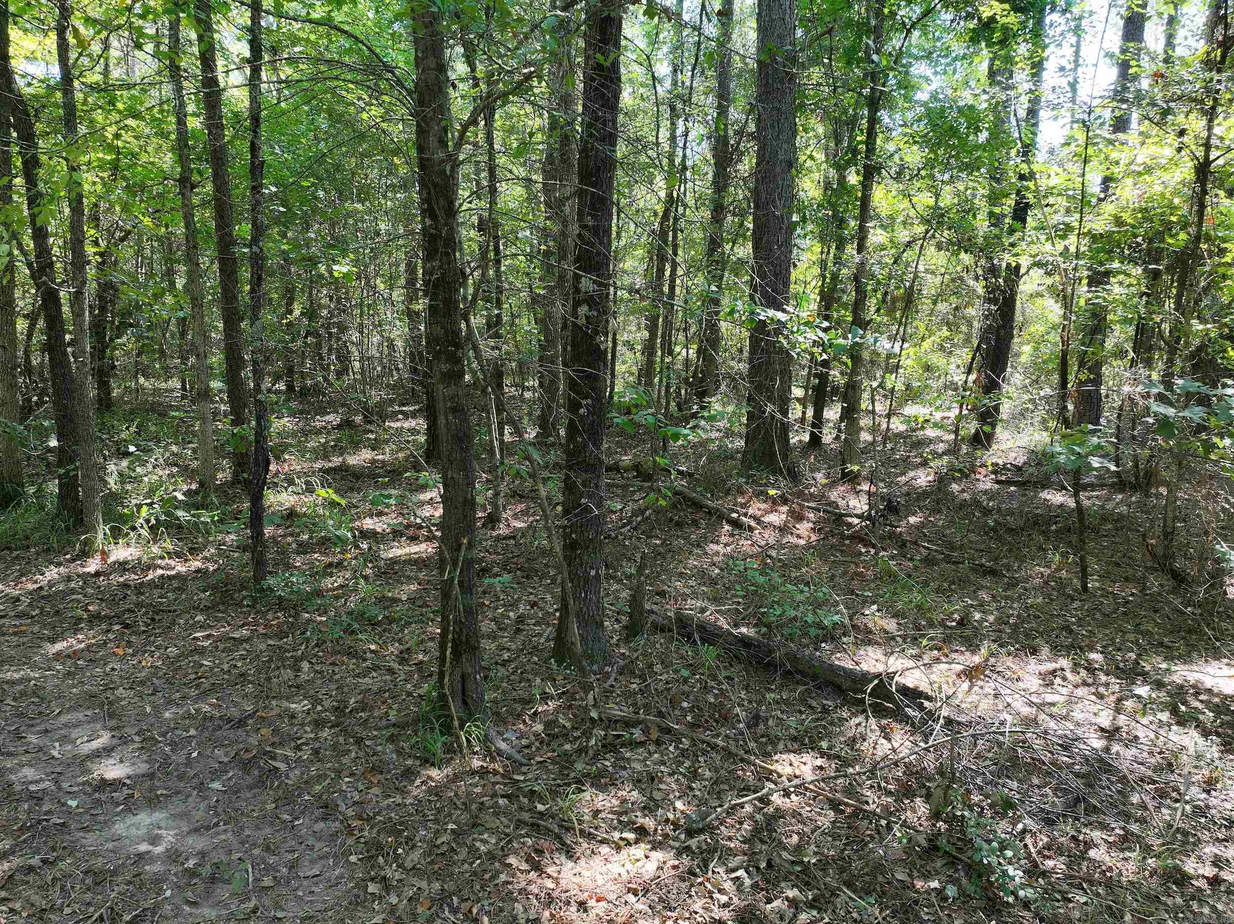 Not in Subdivision - Land