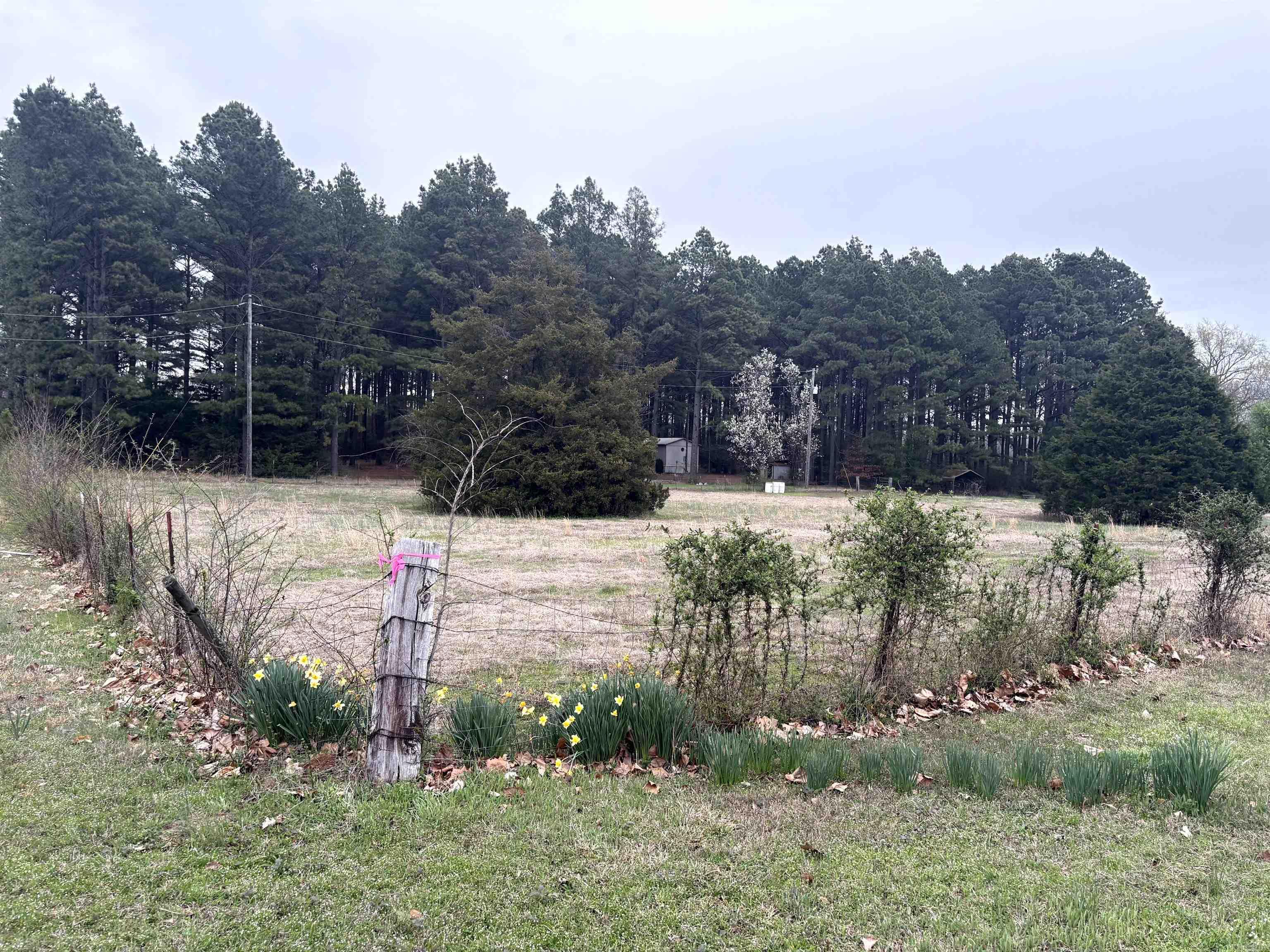 OT CARLISLE - Residential