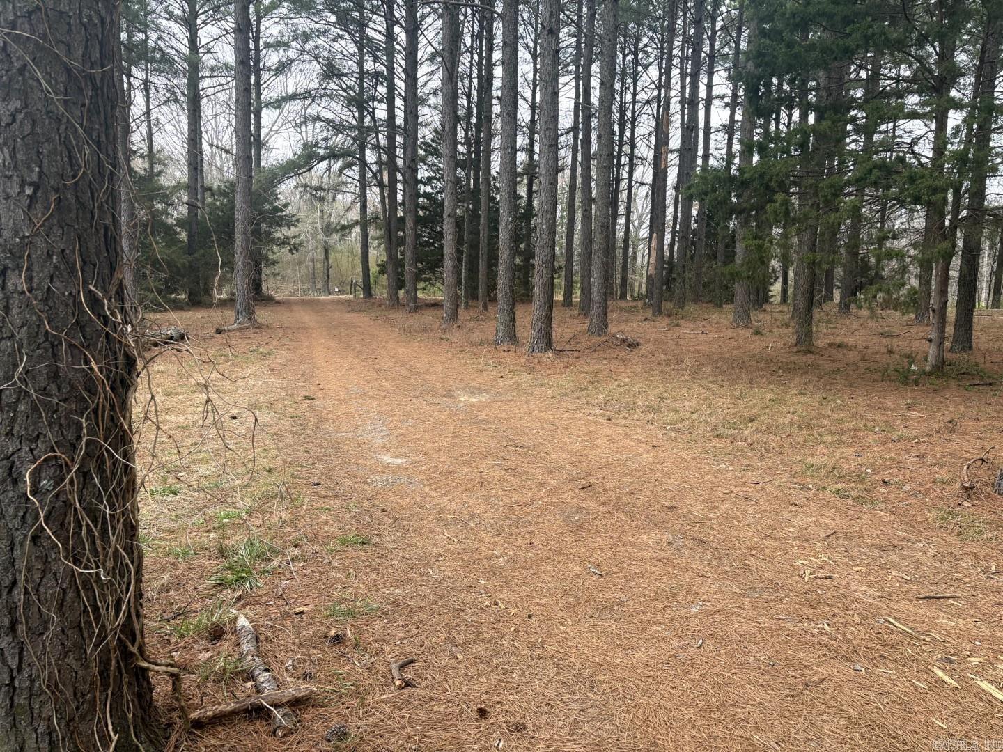 OT CARLISLE - Residential