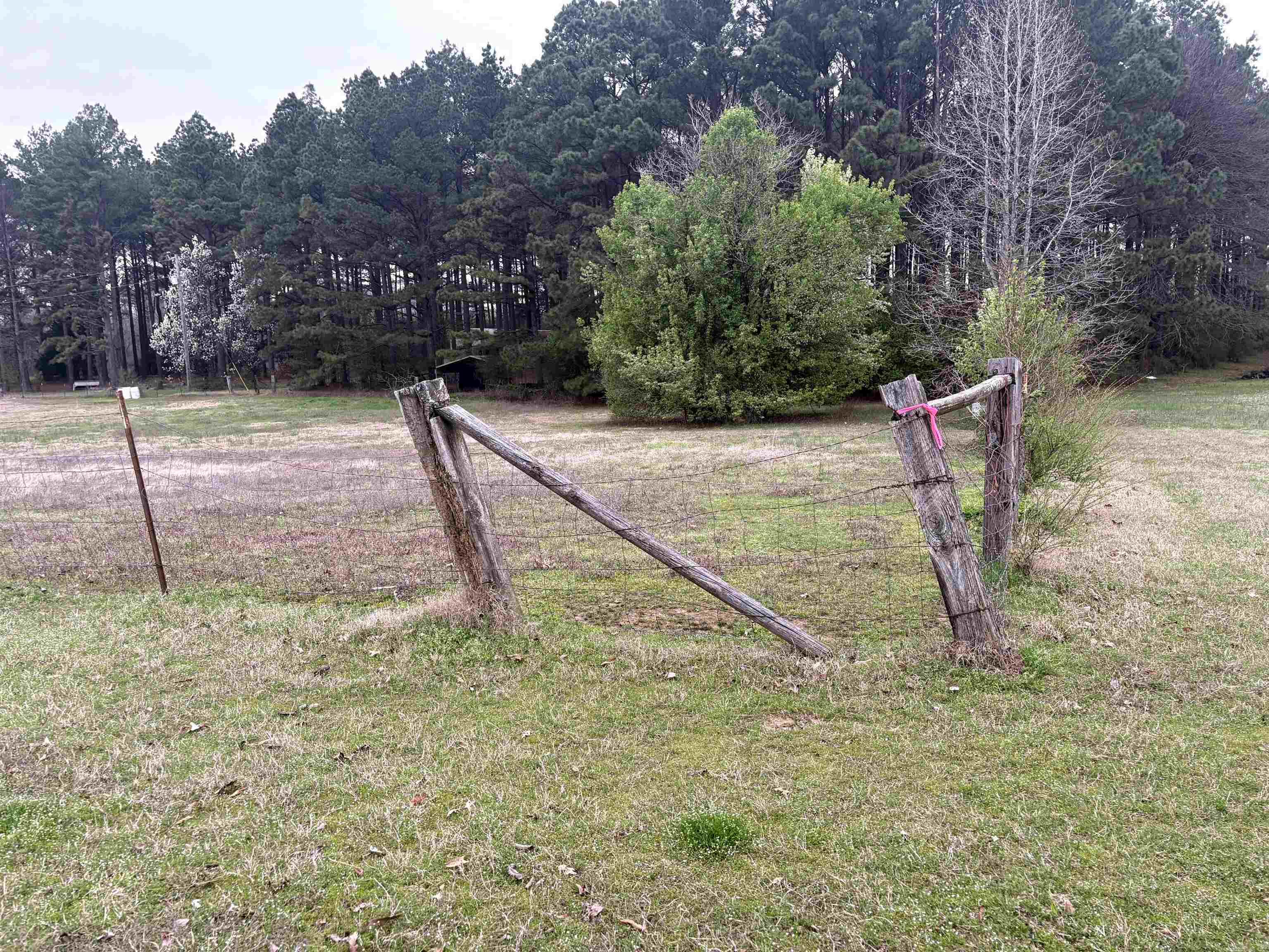 OT CARLISLE - Residential