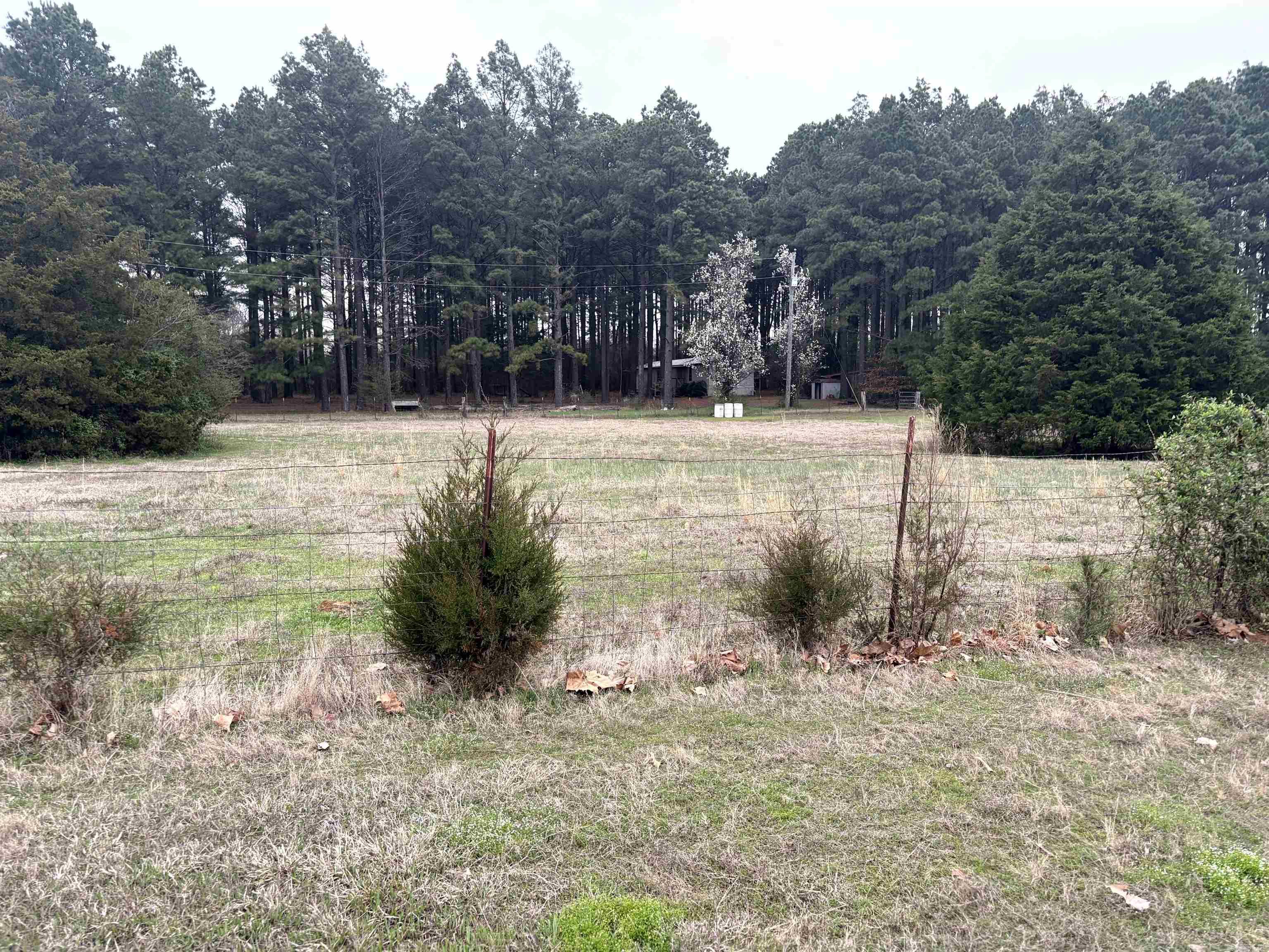 OT CARLISLE - Residential