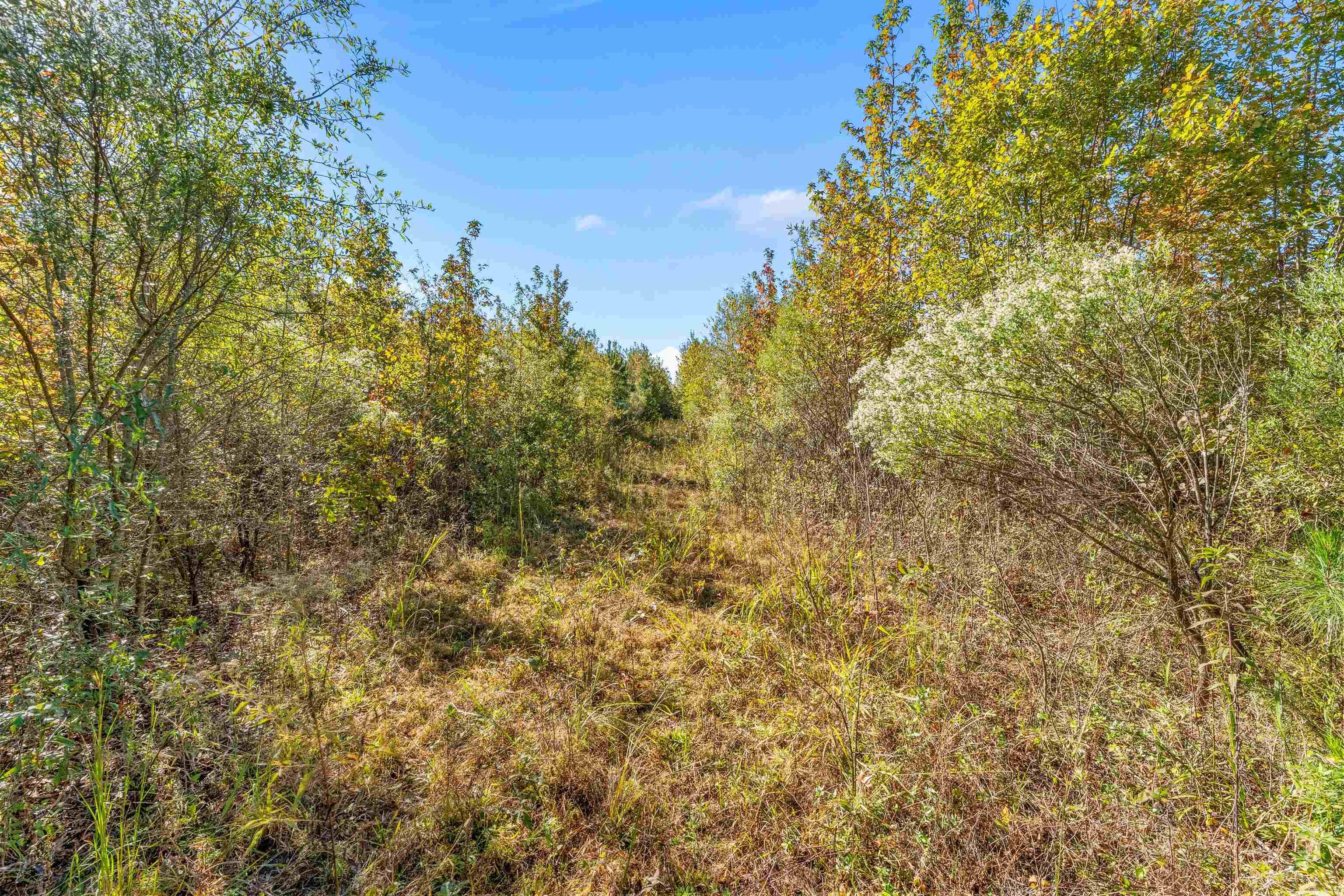 Not in Subdivision - Land