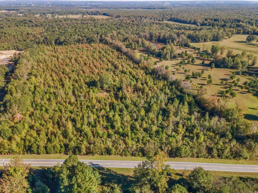 Prime Hunting land or development opportunity.  119.6 Acres of land with trees and cleared hunting lanes.  25 Acres above the flood plain fronting Hwy 319.  Remaining 94.6 Acres in floodplain.