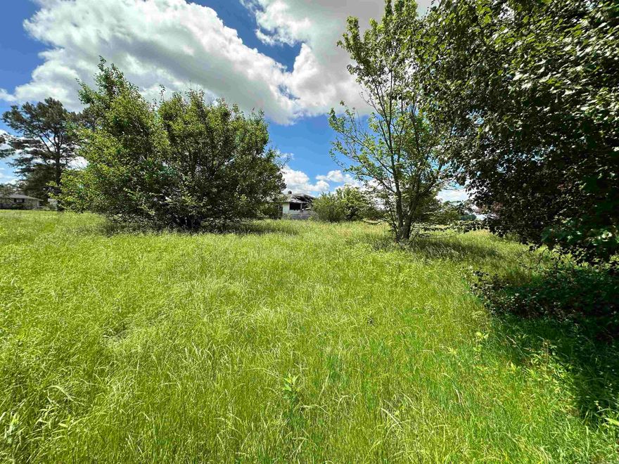 This 2 acre lot is perfect for building your dream home! Enjoy the privacy and beauty of nature while still being conveniently located.