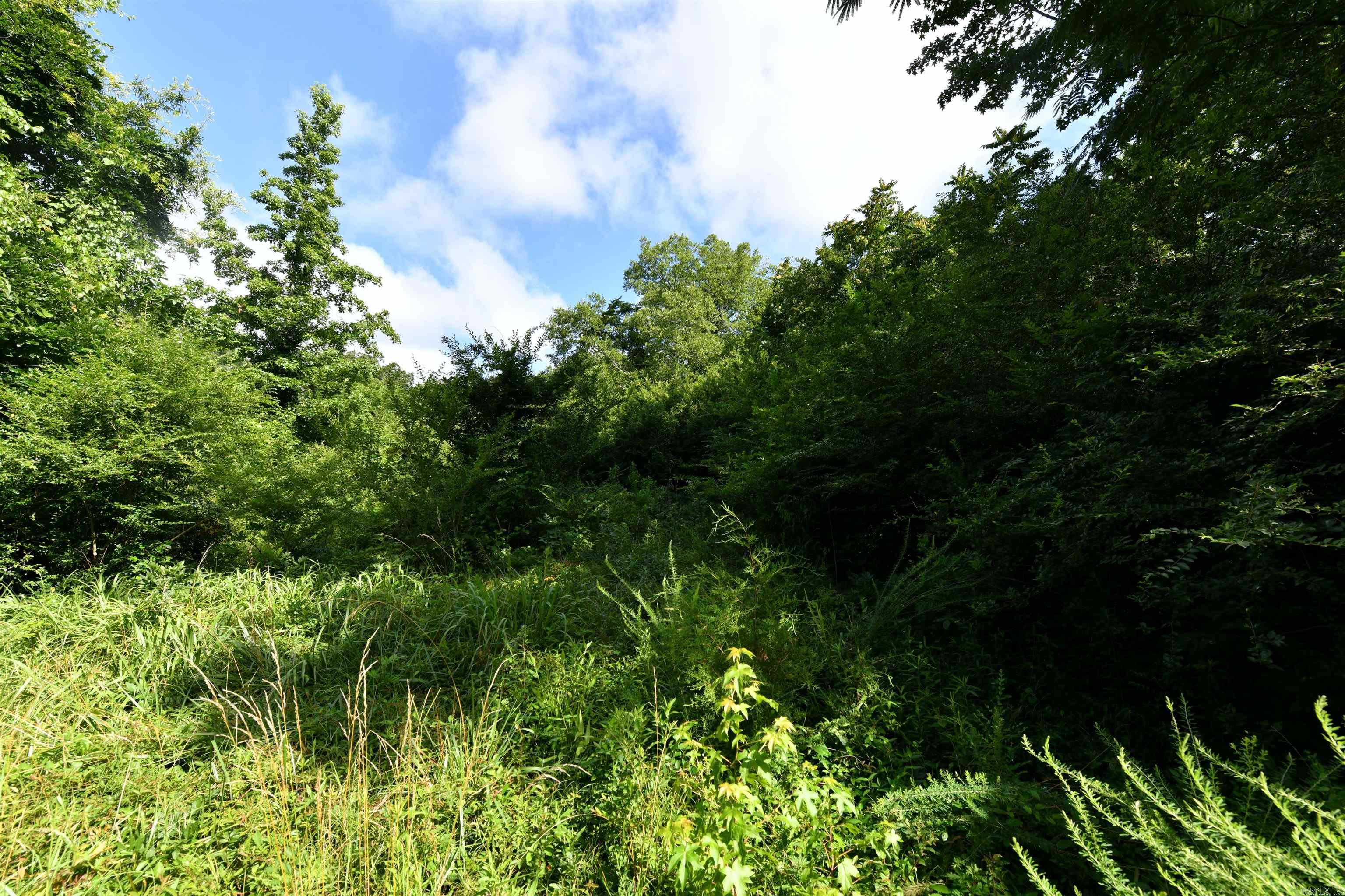 Mena Original - Land