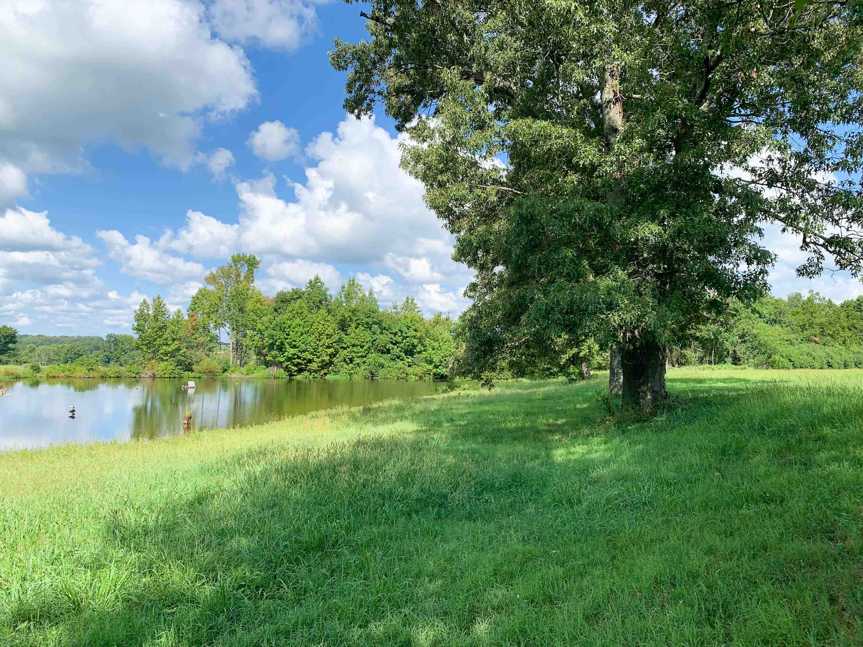 Metes & Bounds - Land