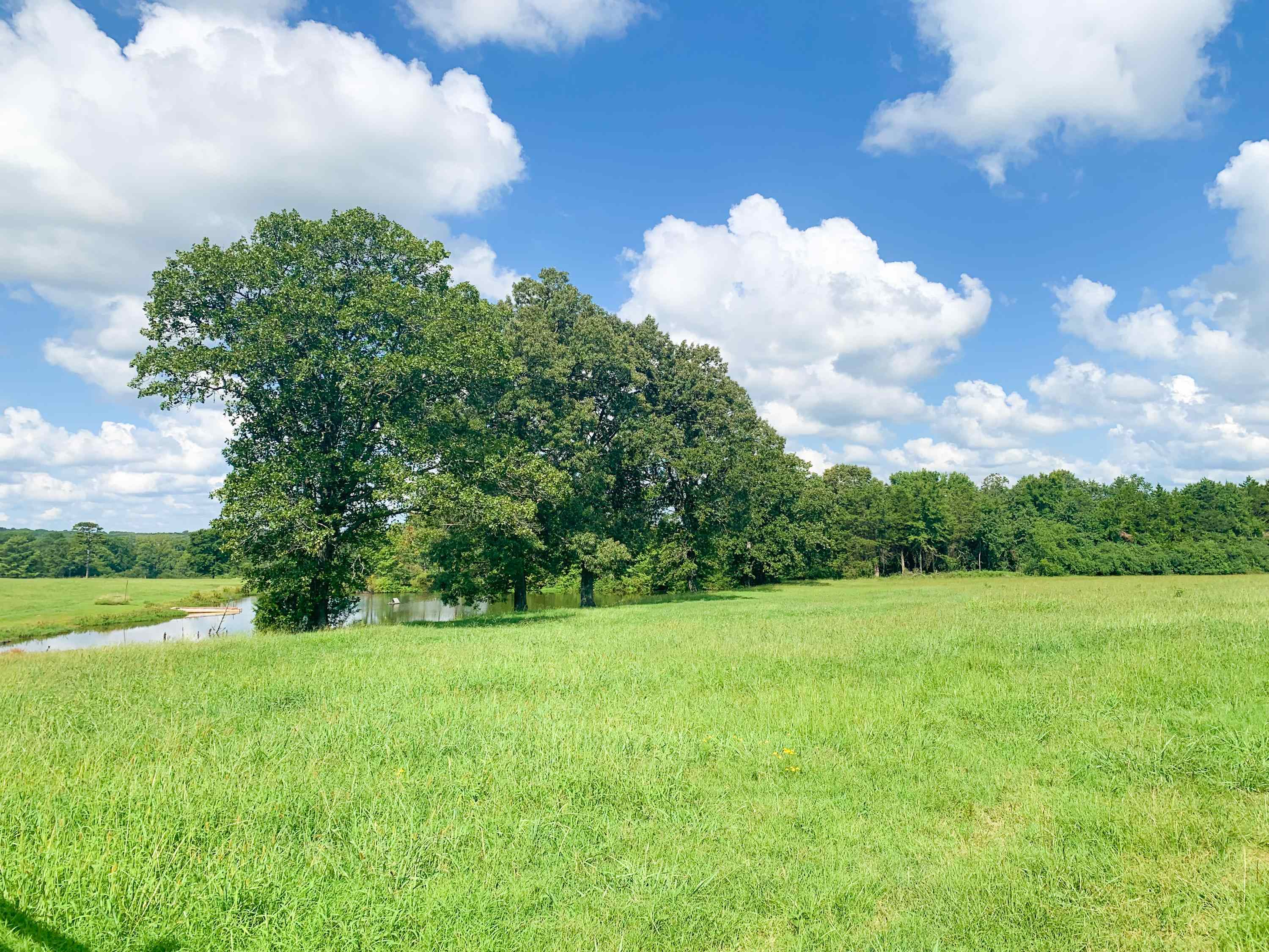 Metes & Bounds - Land