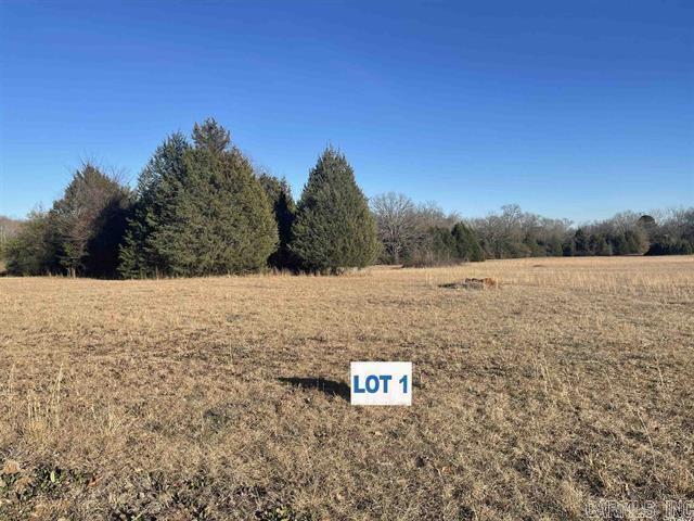 Your dream home starts here! Why settle when you can build? Partner up with the builder and design the perfect home for you! This beautiful lot is on almost 1 acre. Just right outside of town in a very private area. There is one other lot available. There are covenant and restrictions, This is a nice CORNER lot. There is Summit gas, Entergy electric, Vilonia water, and internet available here. This property is a must see!
