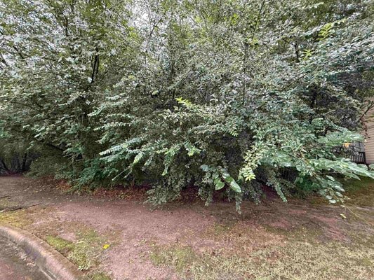 ARBOR CV, LITTLE ROCK, AR 72209 - Image 142445644df97b8e6d3705c61d4ea70f/3828512263