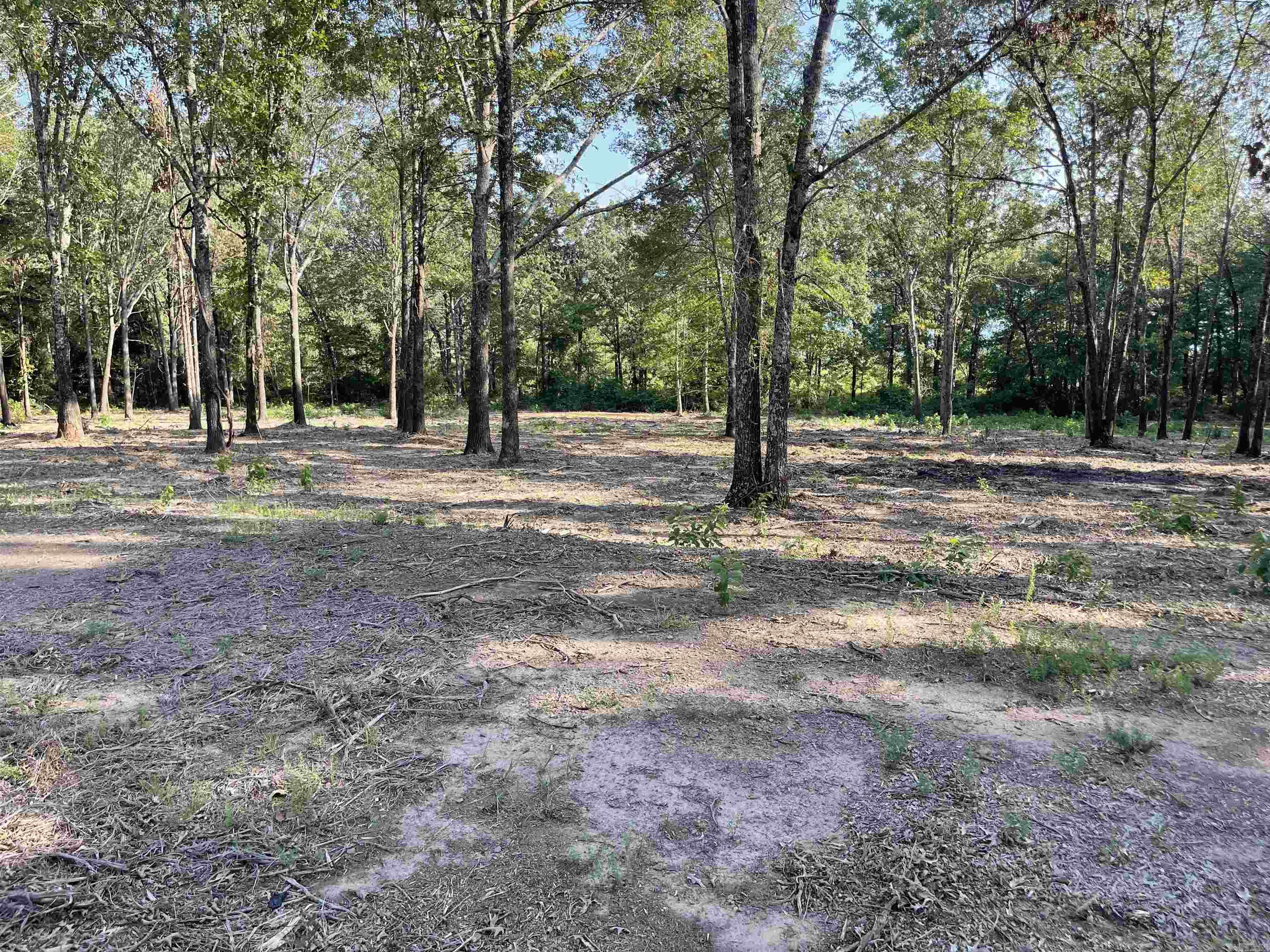 Landing at Emerald Isle - Land