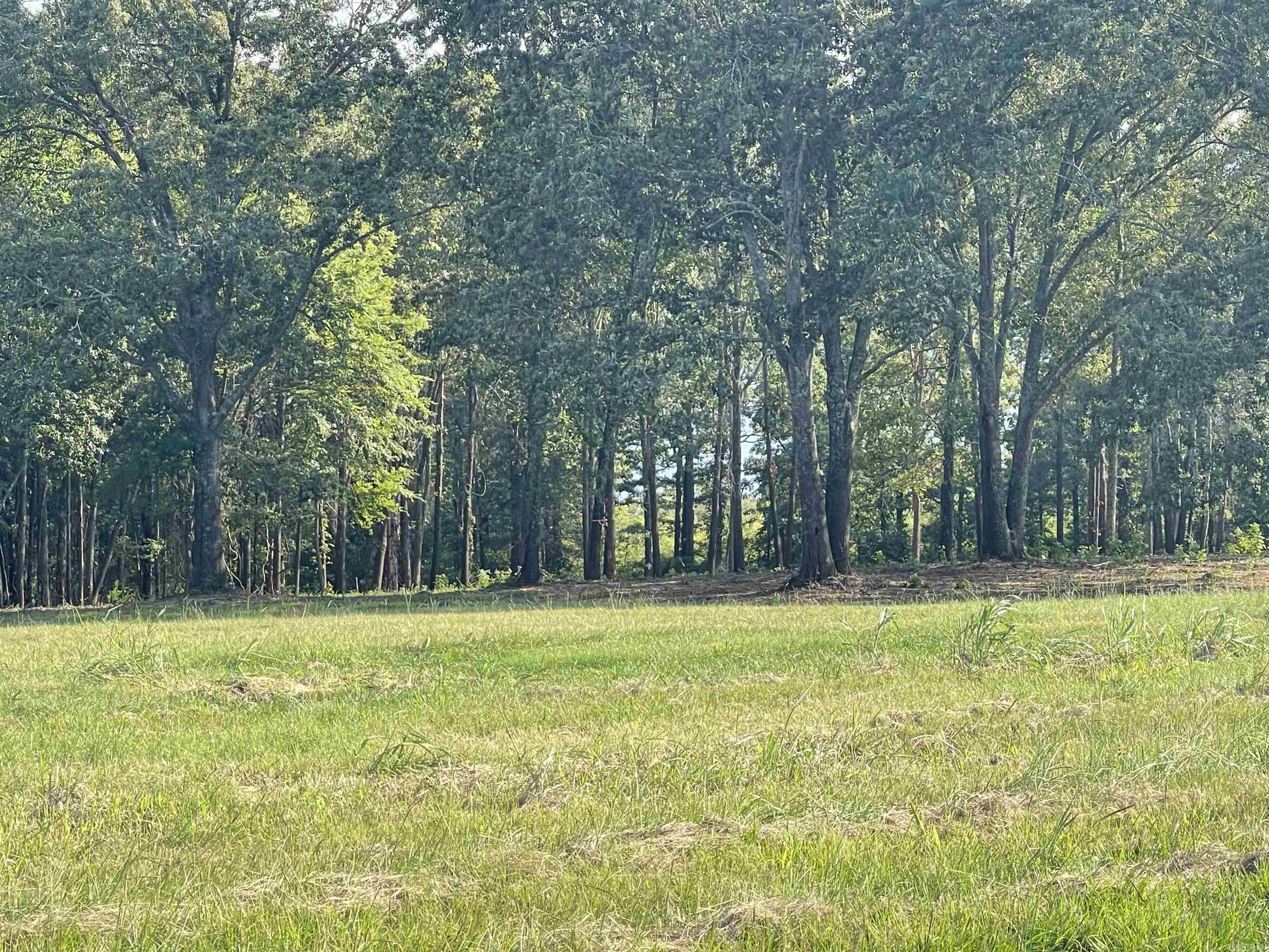 Landing at Emerald Isle - Land