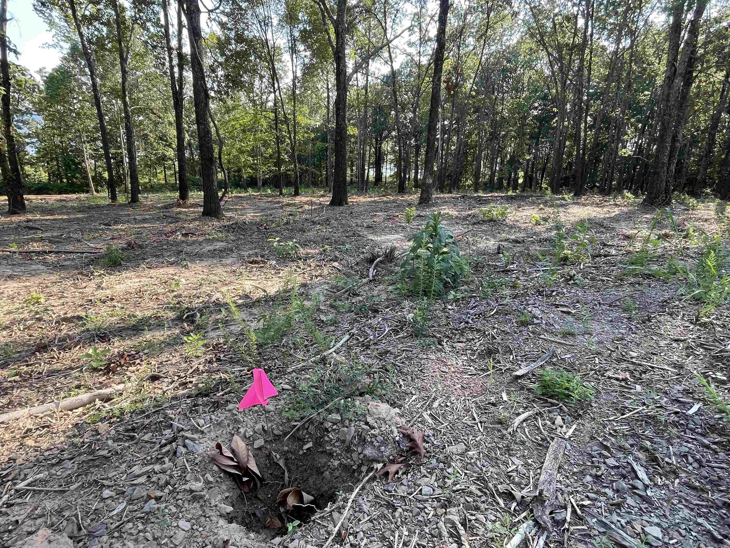 Landing at Emerald Isle - Land