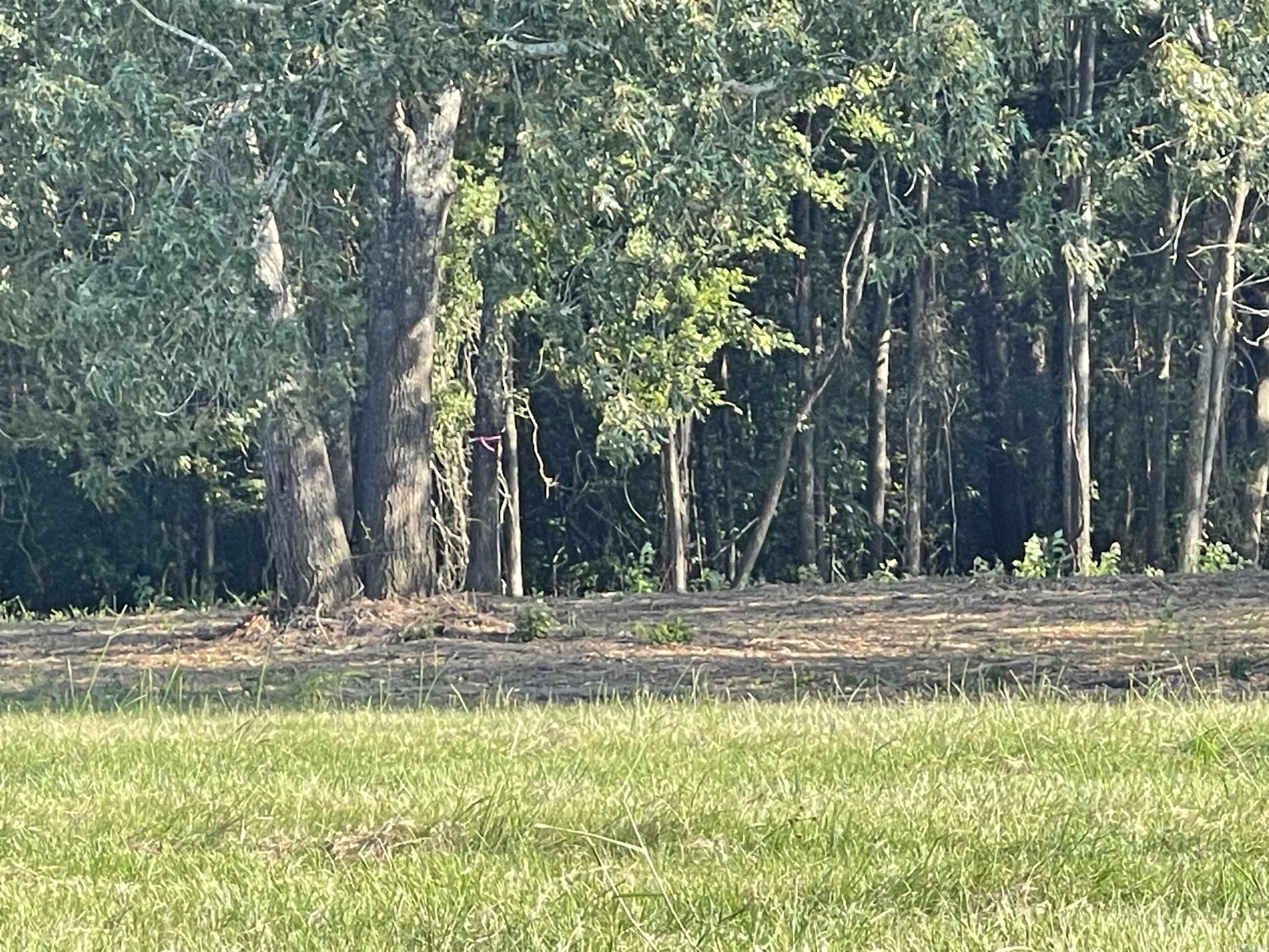 Landing at Emerald Isle - Land