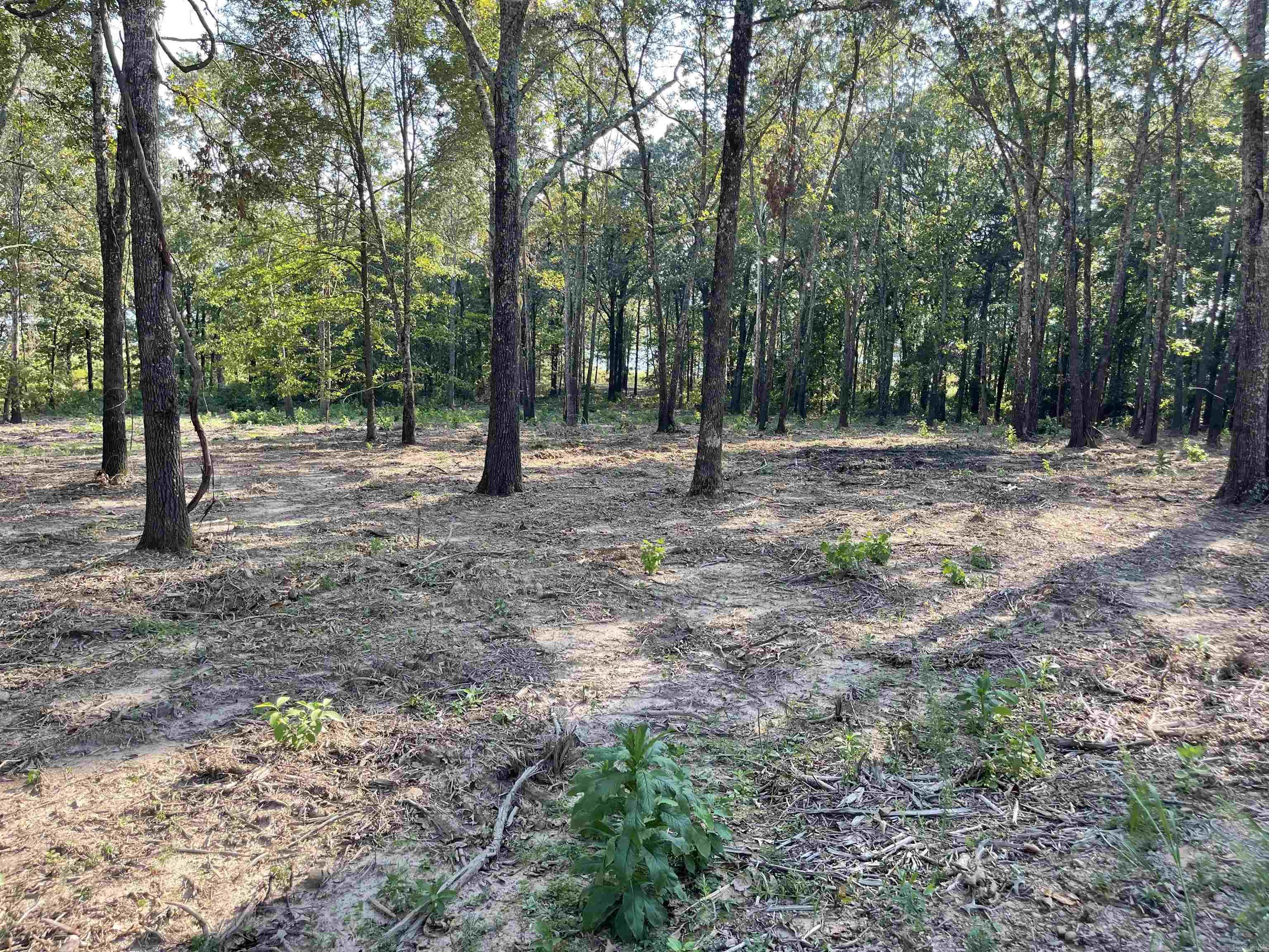 Landing at Emerald Isle - Land