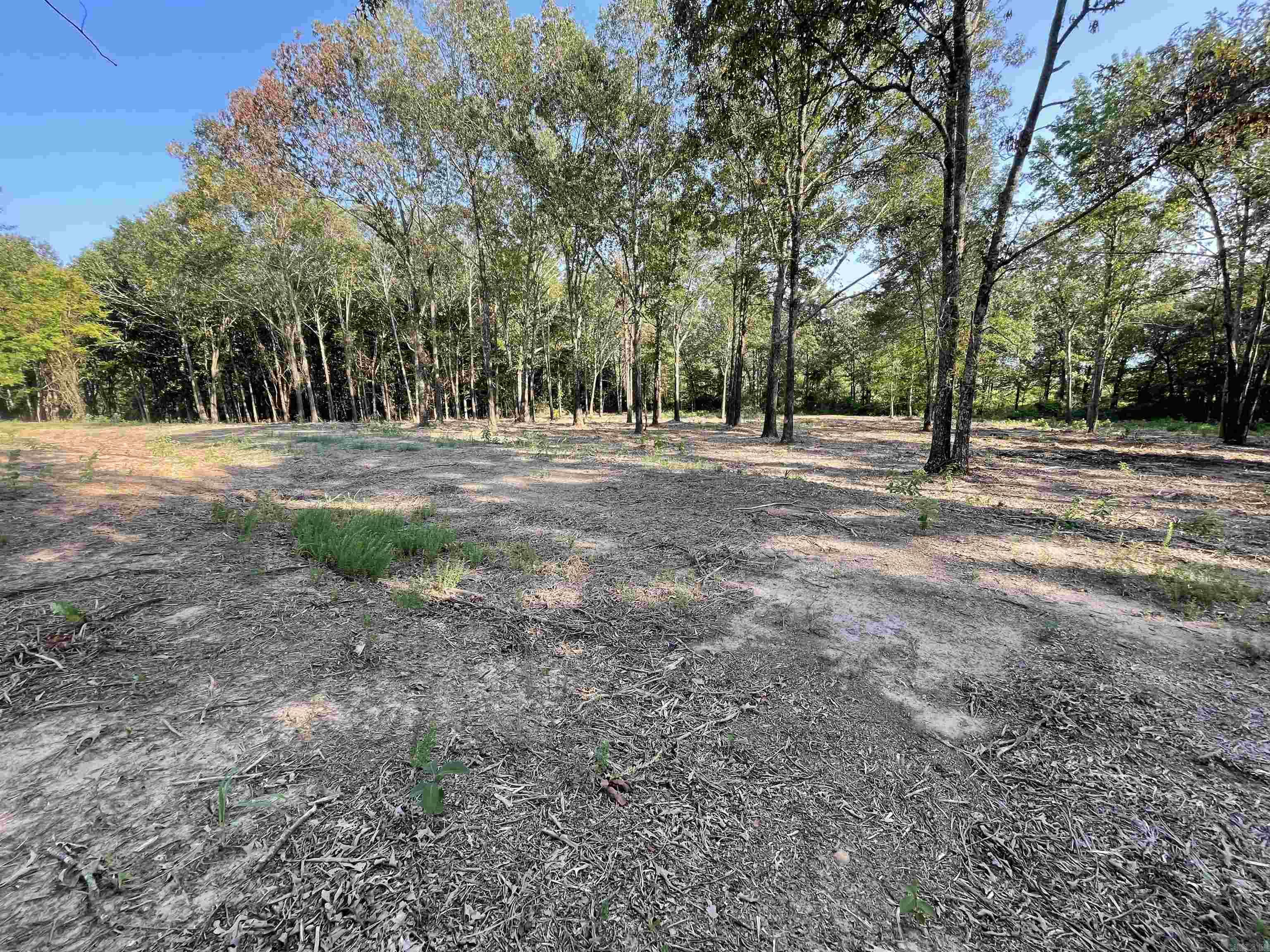 Landing at Emerald Isle - Land