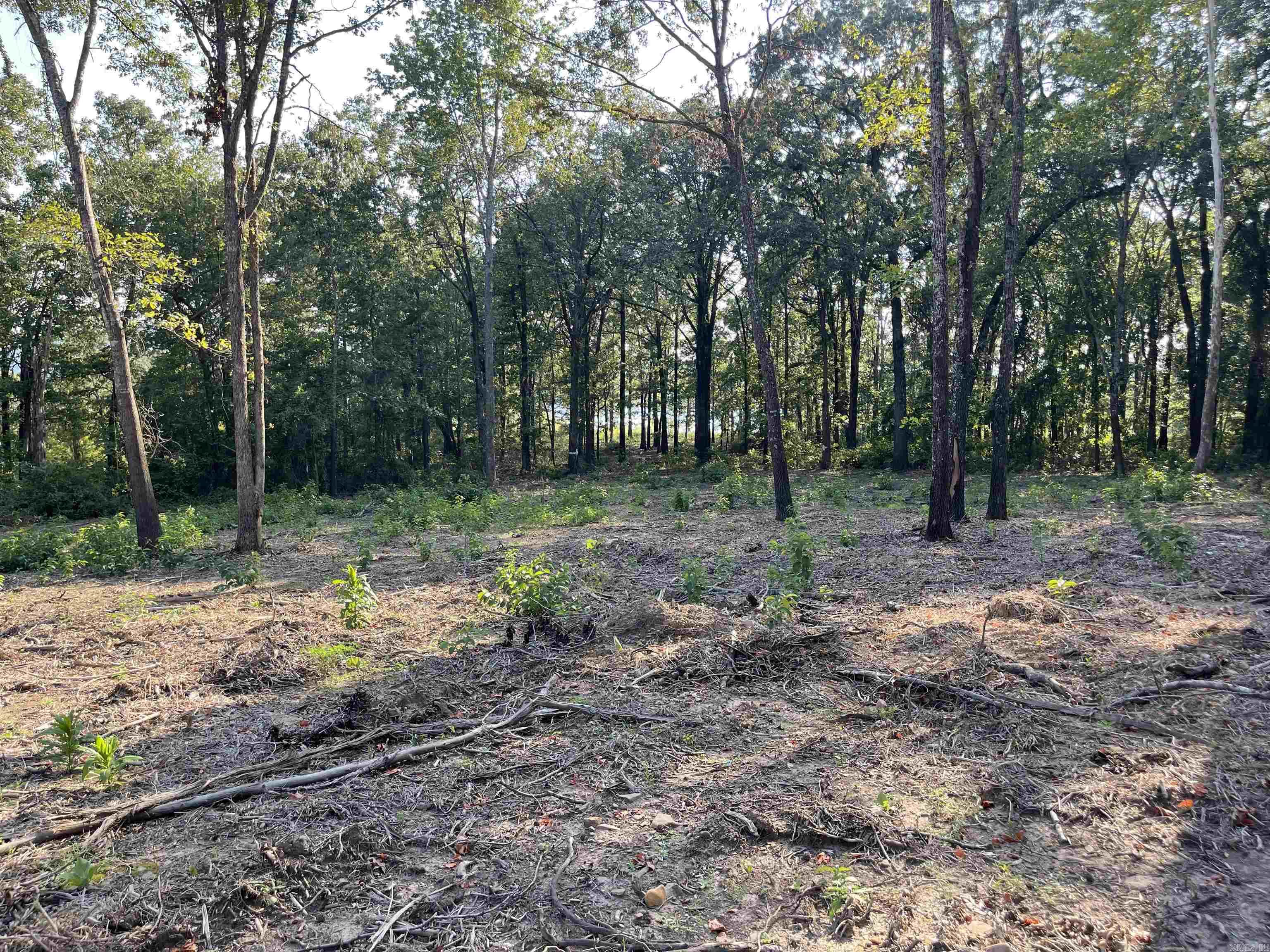 Landing at Emerald Isle - Land