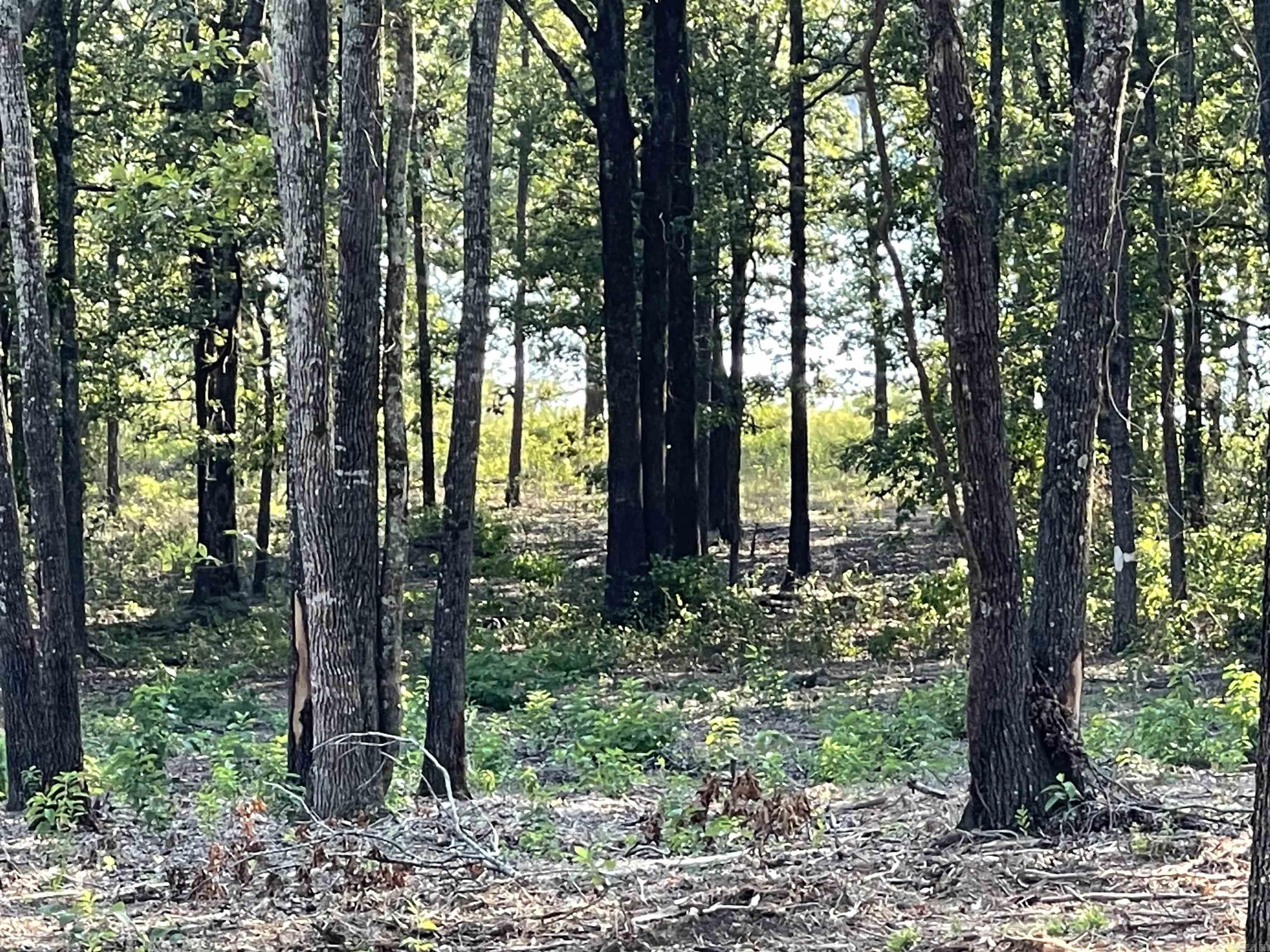 Landing at Emerald Isle - Land