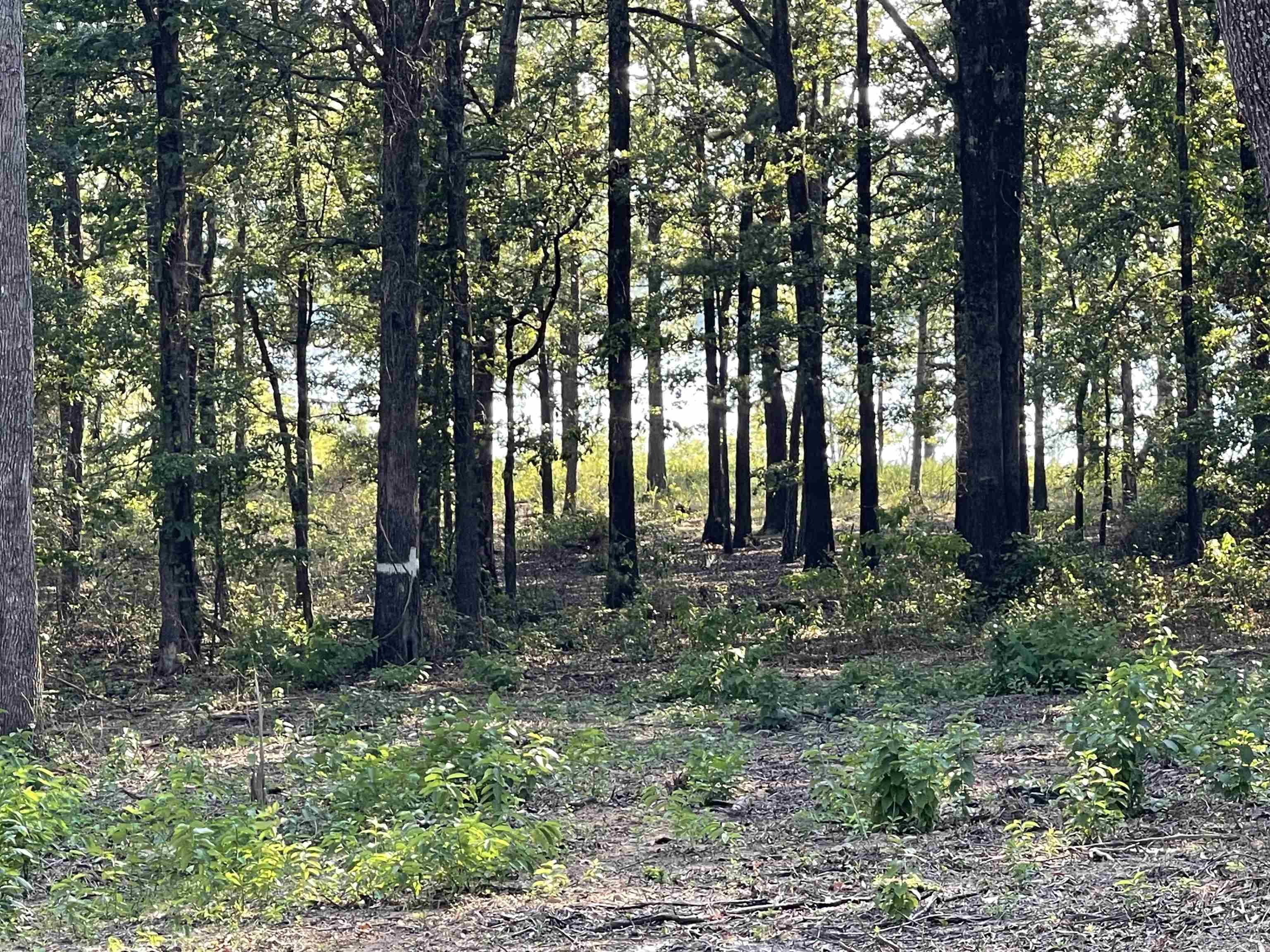 Newly developed property near Shiloh Marina (marina only 2 miles away). Multiple tracts for sale down Shiloh Pointe Rd (These tracts have been removed from the HOA & Covenants of "The Landing at Emerald Isle, but still no mobiles allowed). Gravel Road is considered a "private road" so not maintained by the county, and will be maintained by the property owners on this road with "Private Road Maintenance Agreement" in the works. ***Deed Restrictions*** 1) No mobile homes, campers or Rv's to be used as residence. RV/Camper may only be used temporarily for no more than 12 months while the home is under construction. 2) Minimum of 1500 sqft heated and cooled dwelling to be built. 3) Lots cannot be subdivided