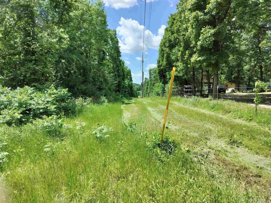 PRIVATE ACREAGE!  This 66 Acres M?L sits at the end of a road with some pasture and lots of Trees! There's also a creek that runs through the property. This land is located between Subiaco and Midway just a mile off the main road.  Beautiful area to build a new home, harvest the timber and make more pasture, or build some cabins for a rental get-away. The possibilities are endless!