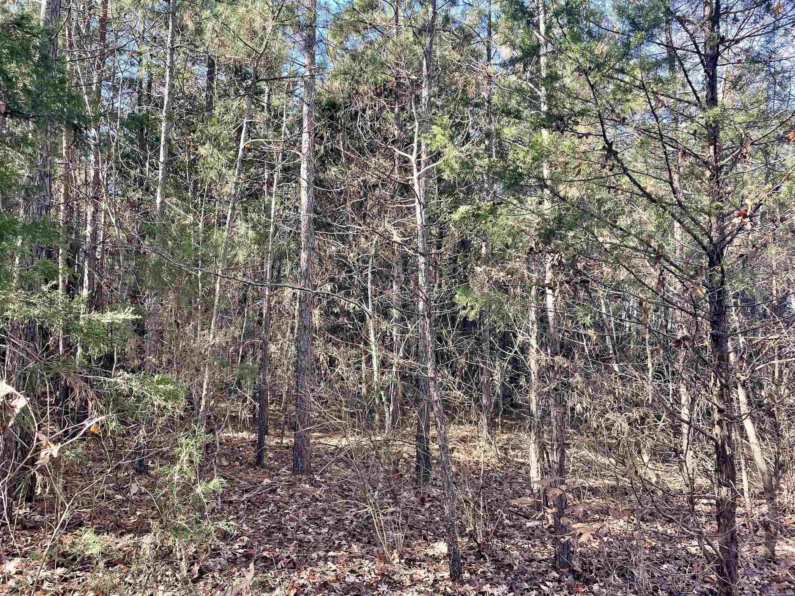 Not in Subdivision - Land