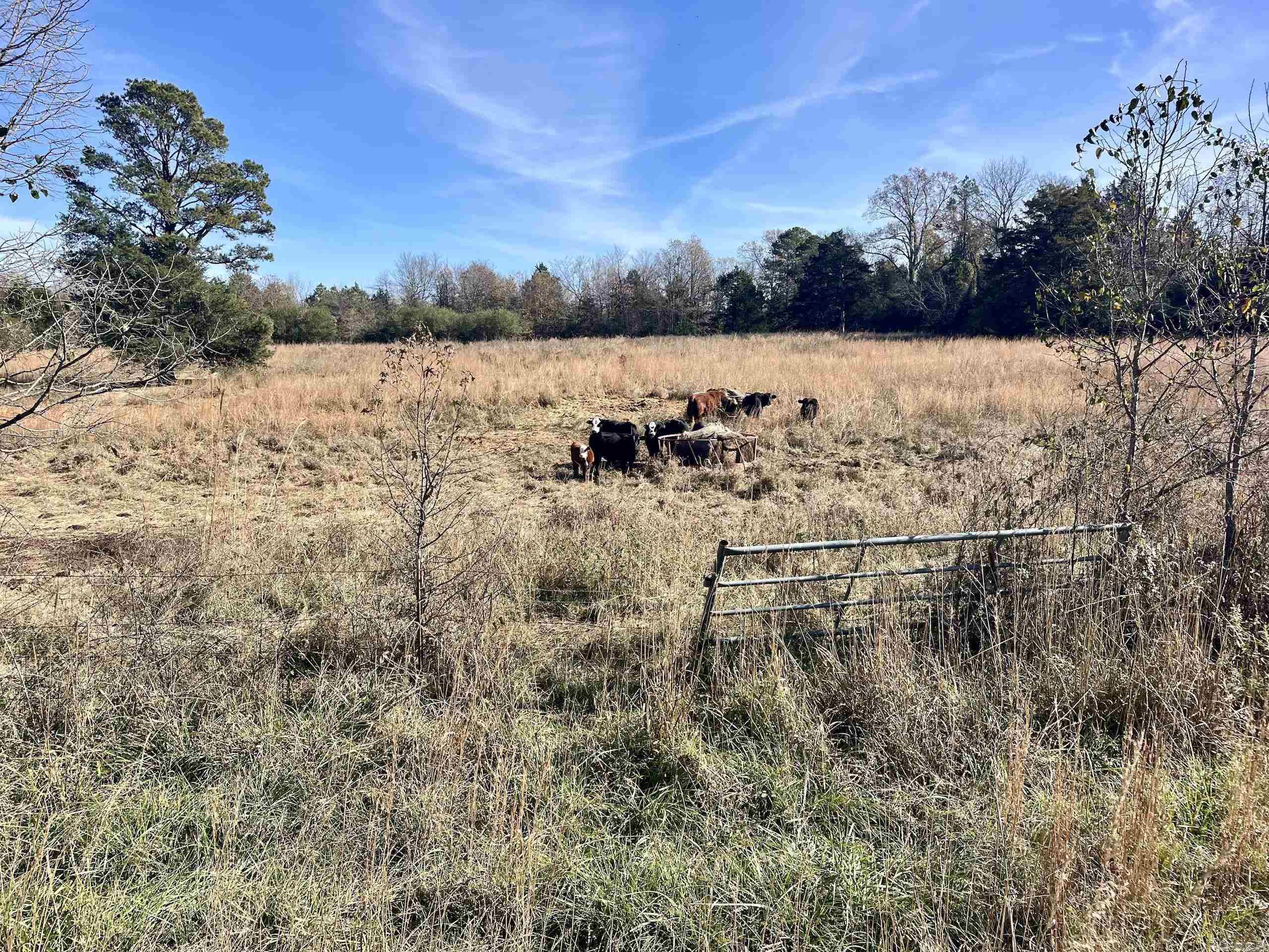 Not in Subdivision - Land