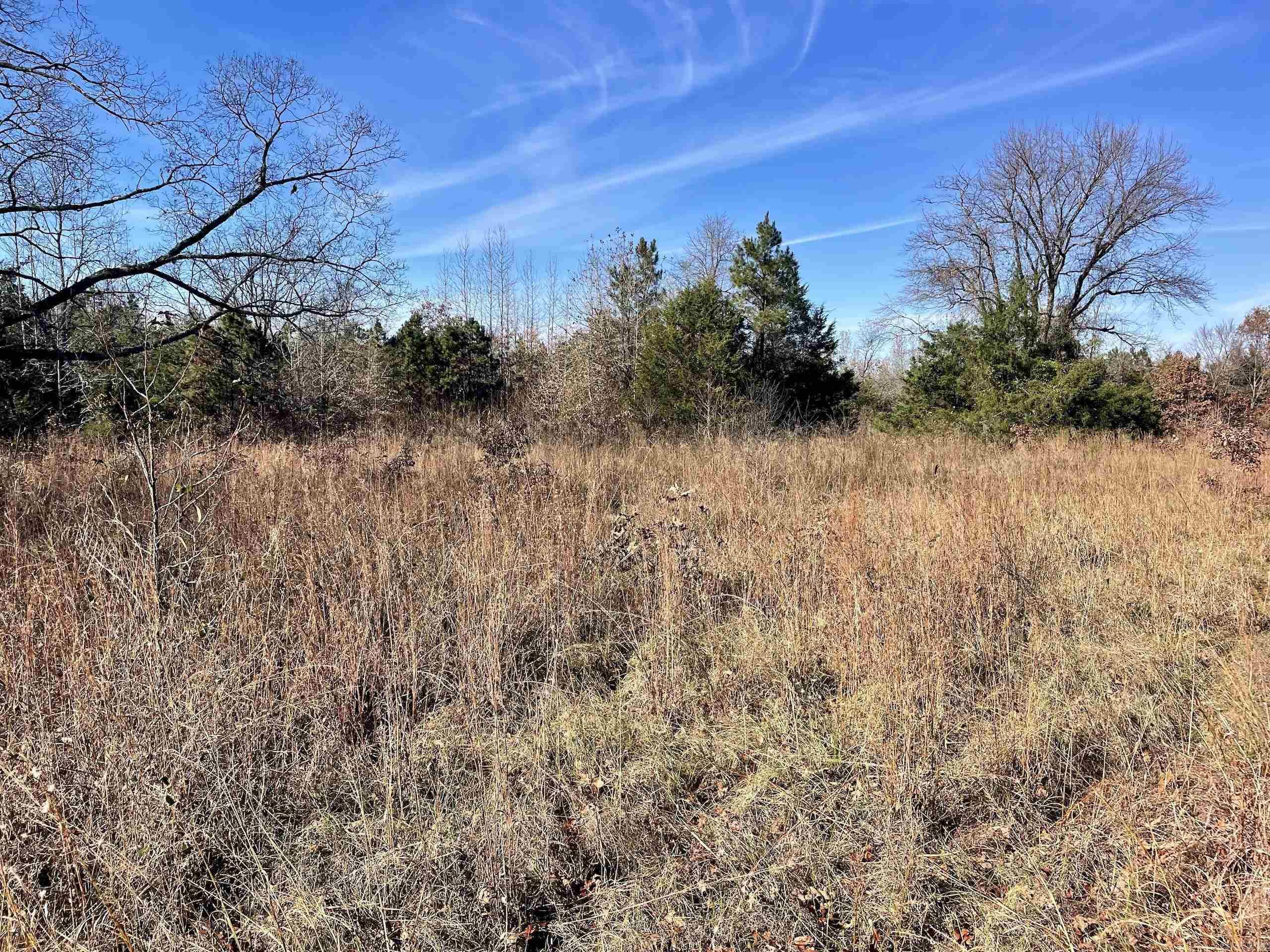 Not in Subdivision - Land