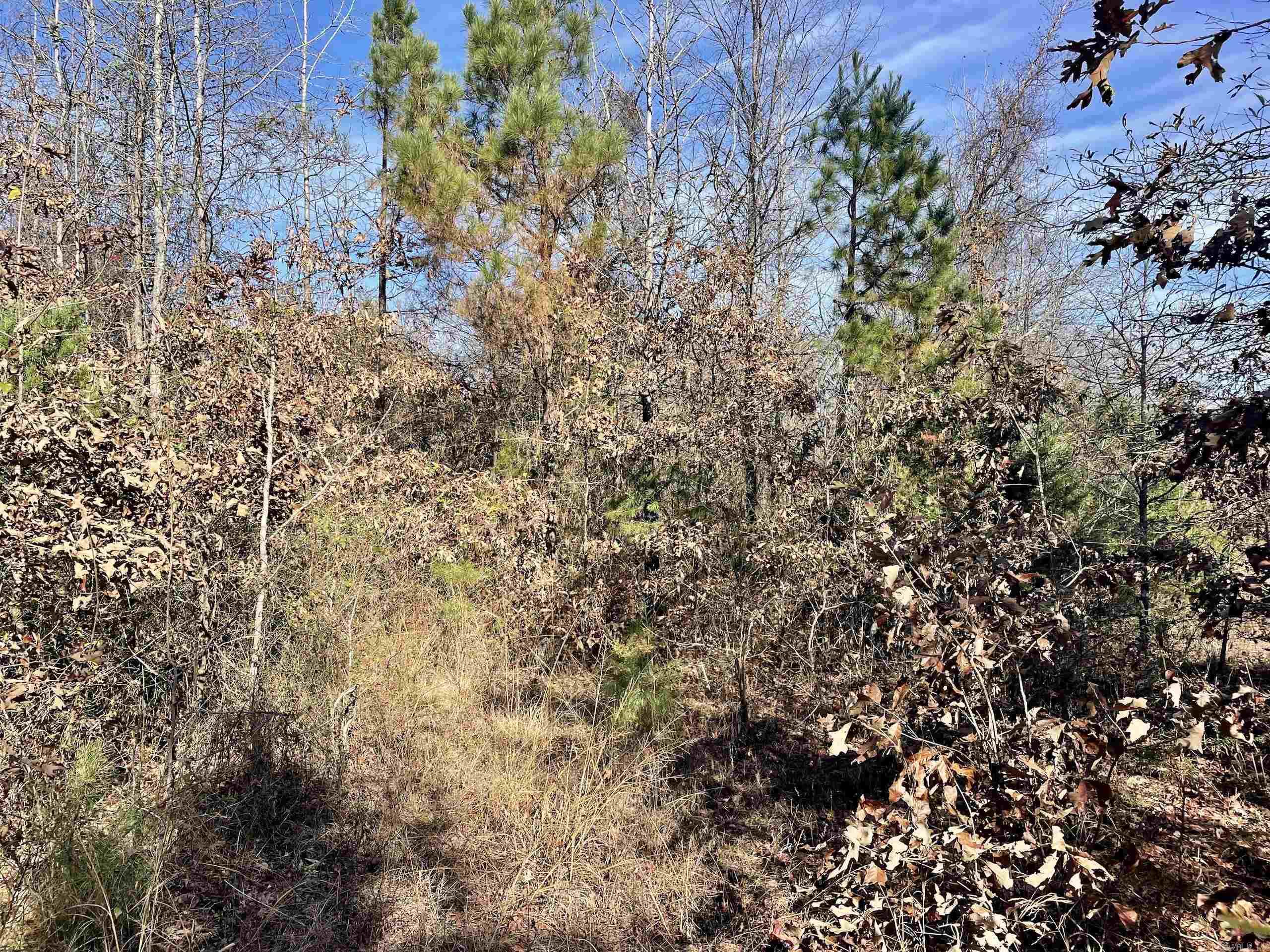 Not in Subdivision - Land