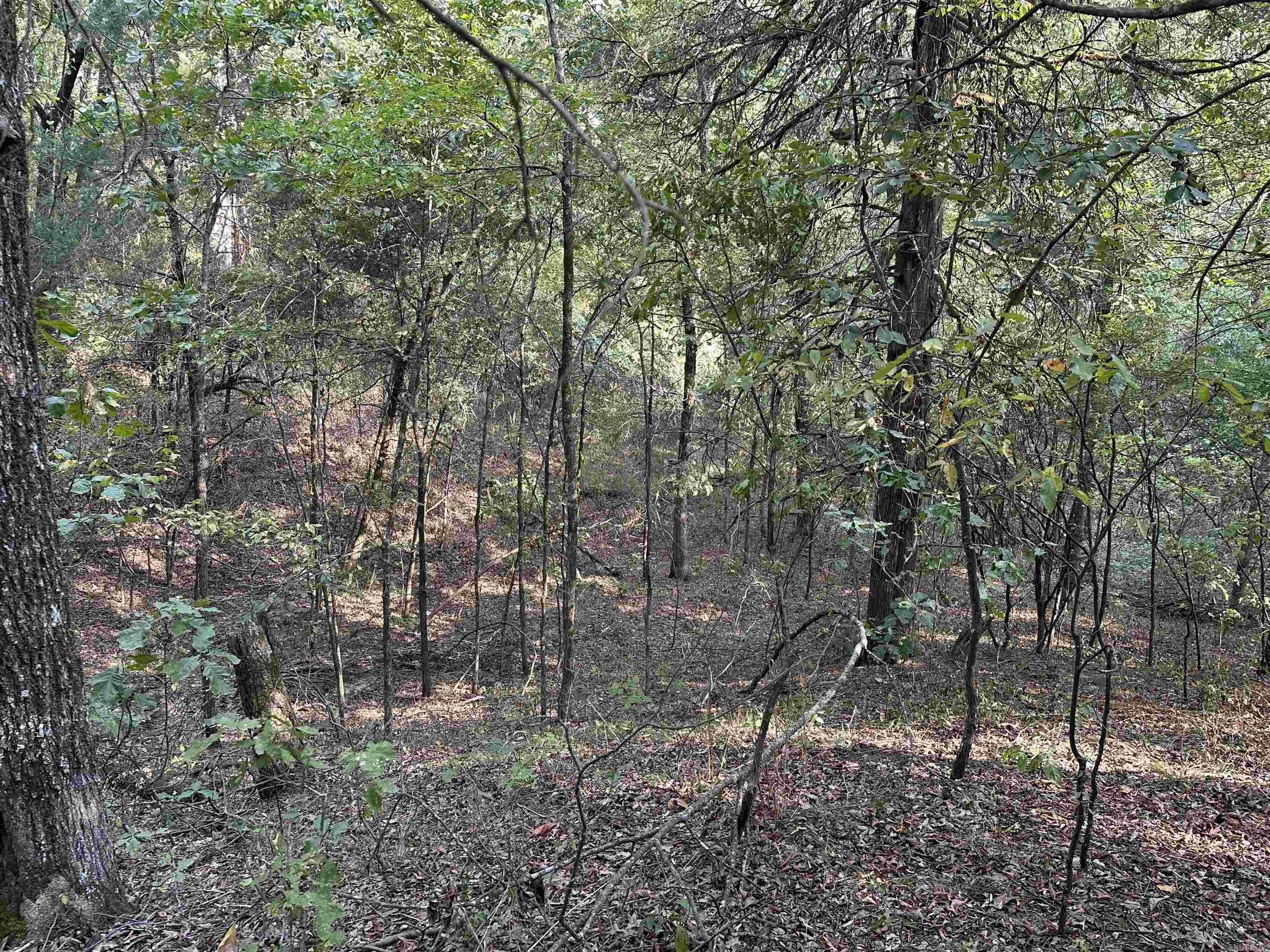 Discover an incredible opportunity with this 10-acre property located on Highway 141. This land is filled with mature timber and in a prime location, offering easy access to the highway and nearby conveniences. Don't miss your chance to own this exceptional piece of land. Reach out today for more information!