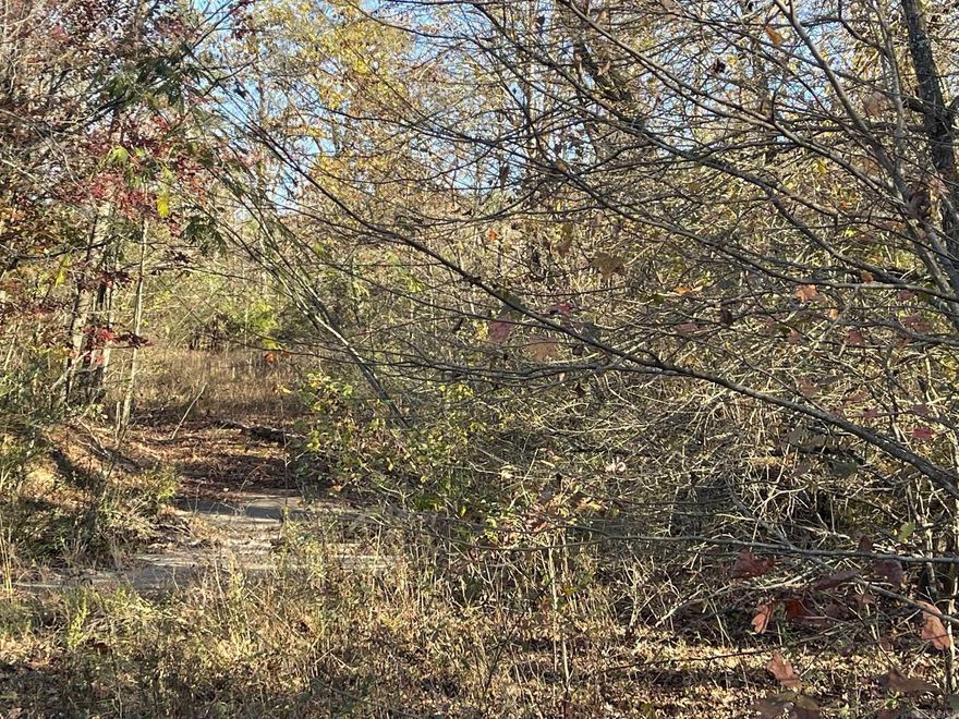 Nice Property just off of paved road with a year around running creek.  There is a small shed on the Property but it is in need of repair.  Lots of wildlife!