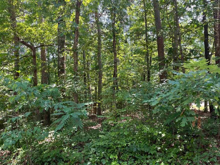 A beautiful corner lot, with a peek-a-boo view of Lake Coronado, that is a short walking distance to the gorgeous wildflower path. Owner has house plans designed for this unique lot that narrows in the back. in a well-established neighborhood with new homes built nearby for comps, this is a great opportunity to come and experience "Village" life in beautiful Hot Springs Village and build your dream home, a second home, or a vacation rental. A one-time buy in fee to be paid at closing.