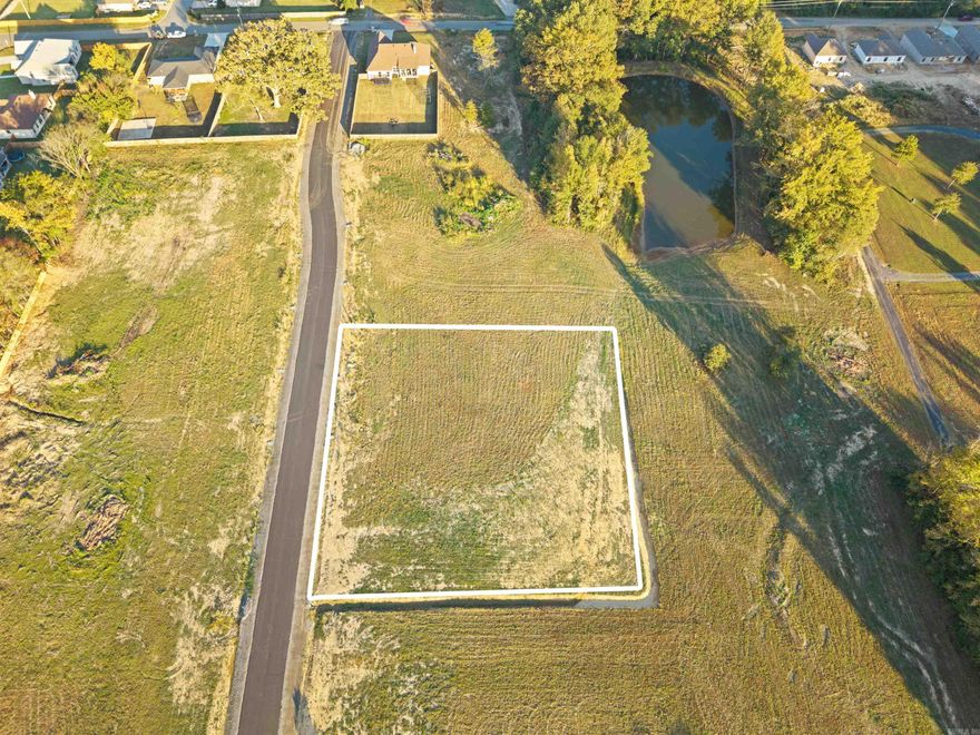 Ready to build your dream home? This gorgeous 1-acre lot in a new subdivision is the perfect place to make it happen! With all utilities available, this property is ready for you to bring your visions to life. 1800 square-foot minimum and 75% brick/stone/masonry minimum per BOA. Work shops allowed and must match house colors. No mobiles!