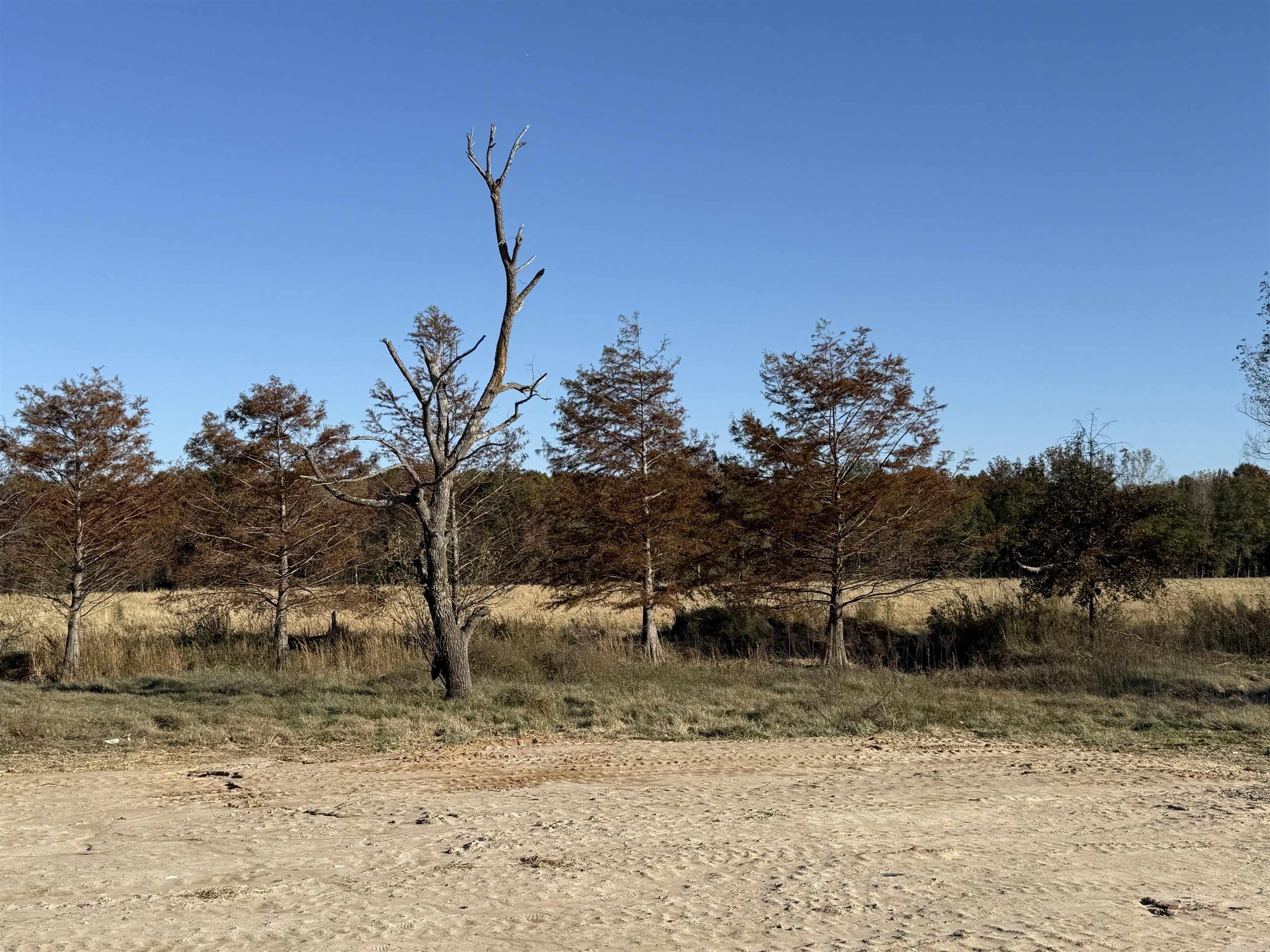 Randolph County - Land