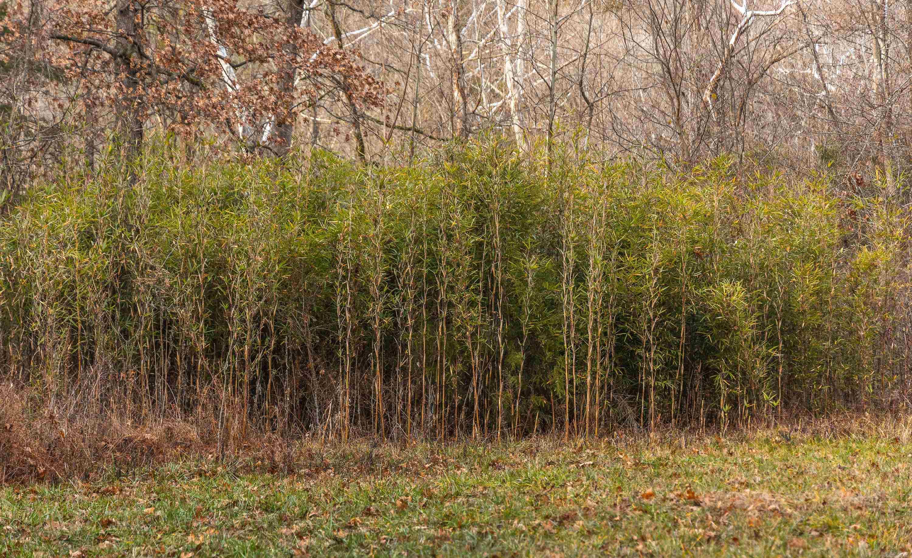 Not in Subdivision - Farm