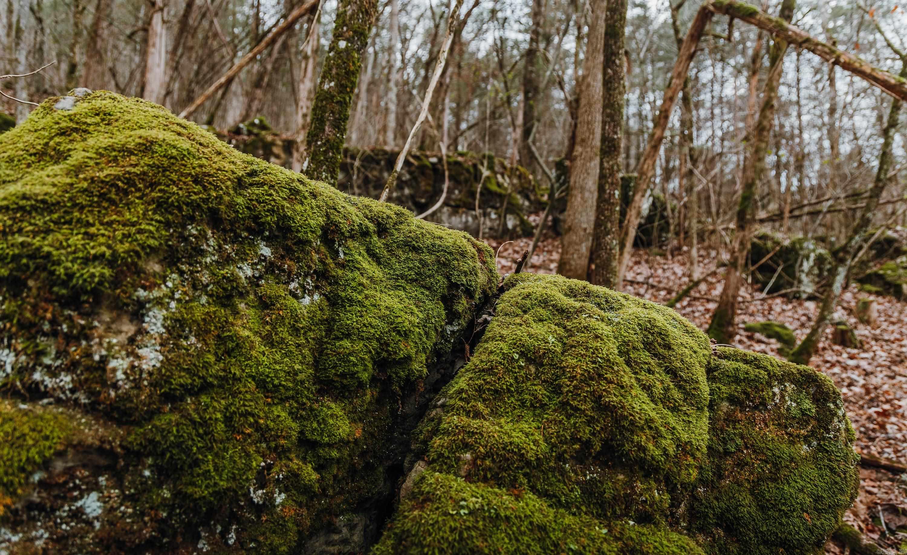 Not in Subdivision - Farm