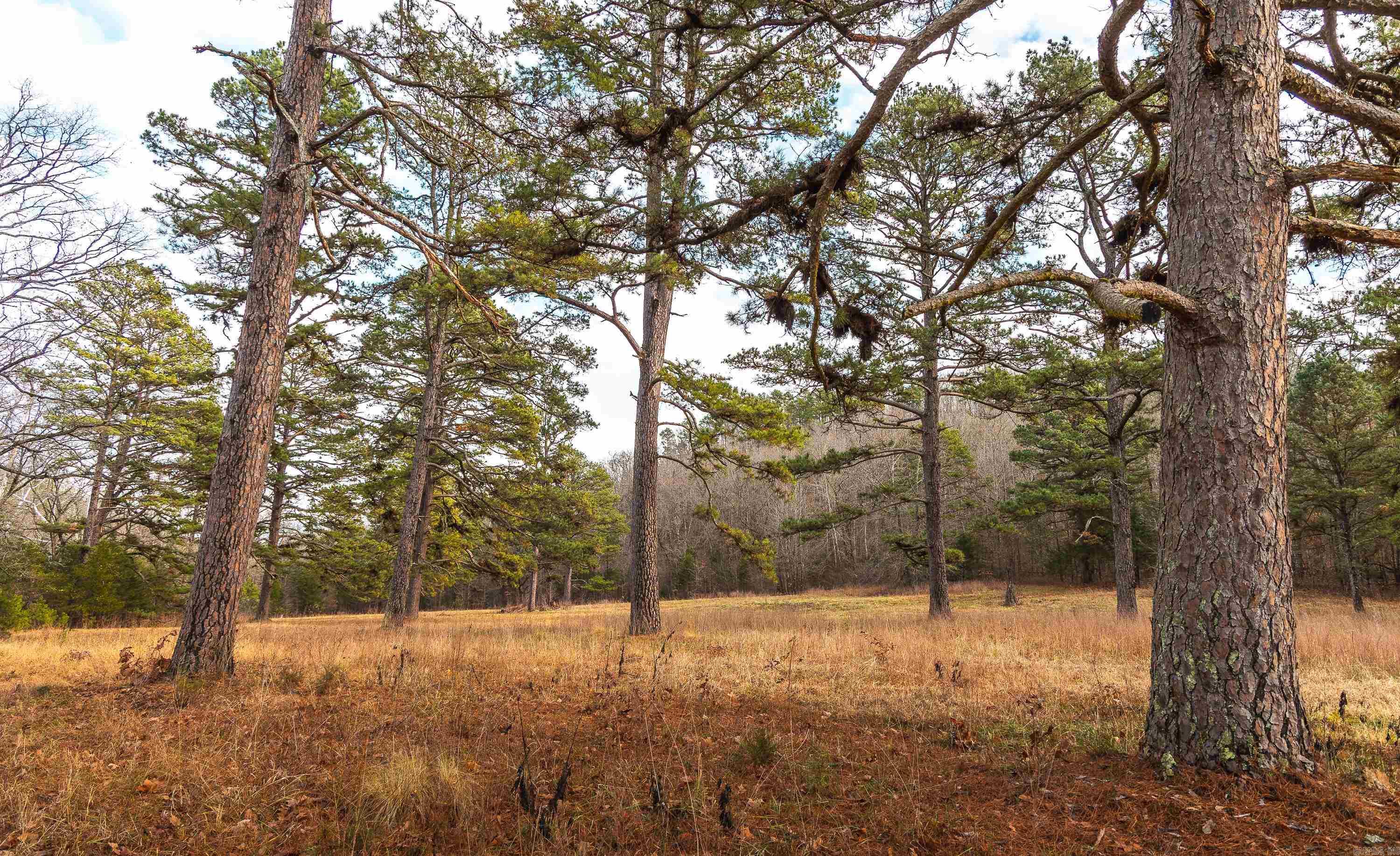 Not in Subdivision - Farm