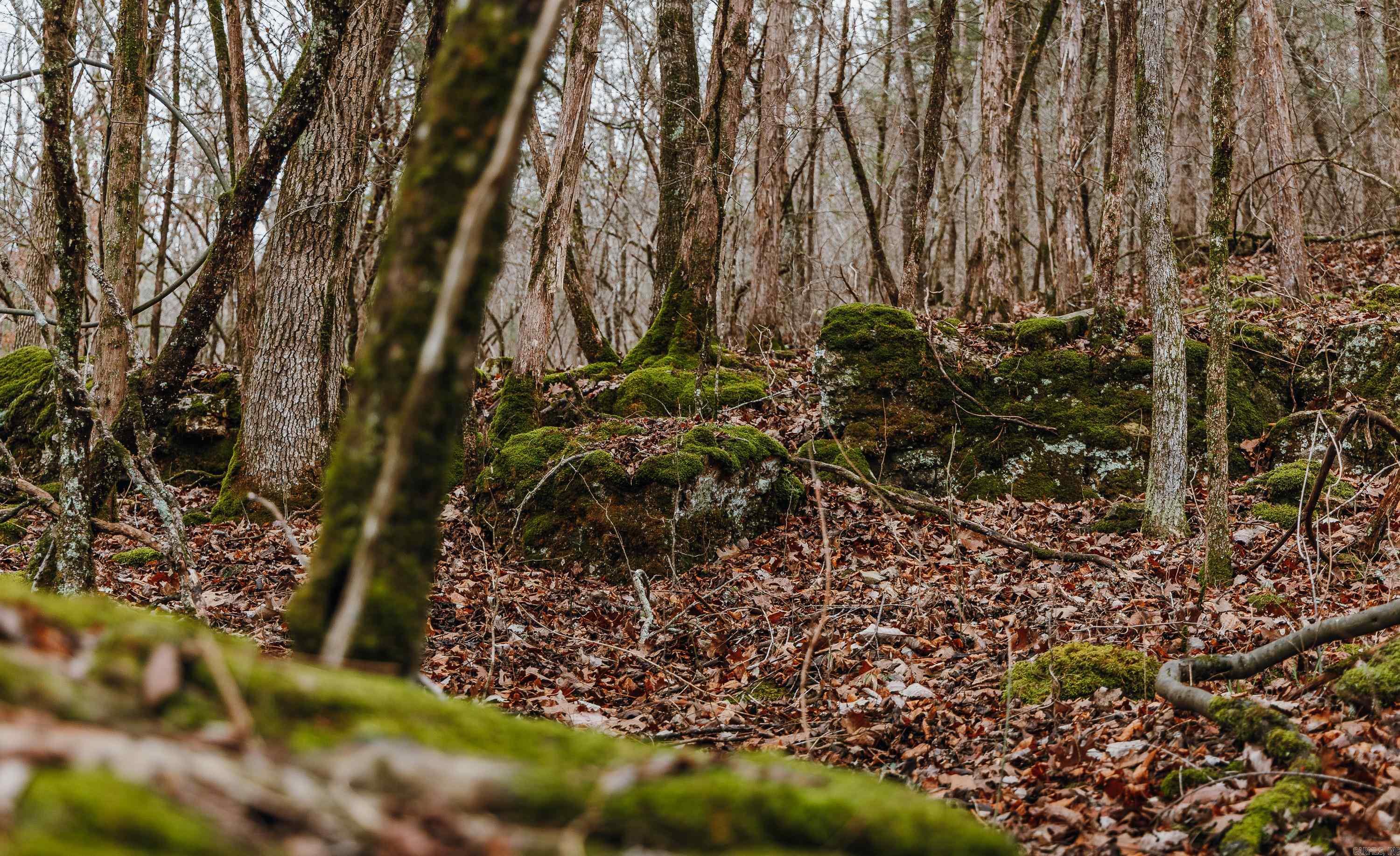 Not in Subdivision - Farm