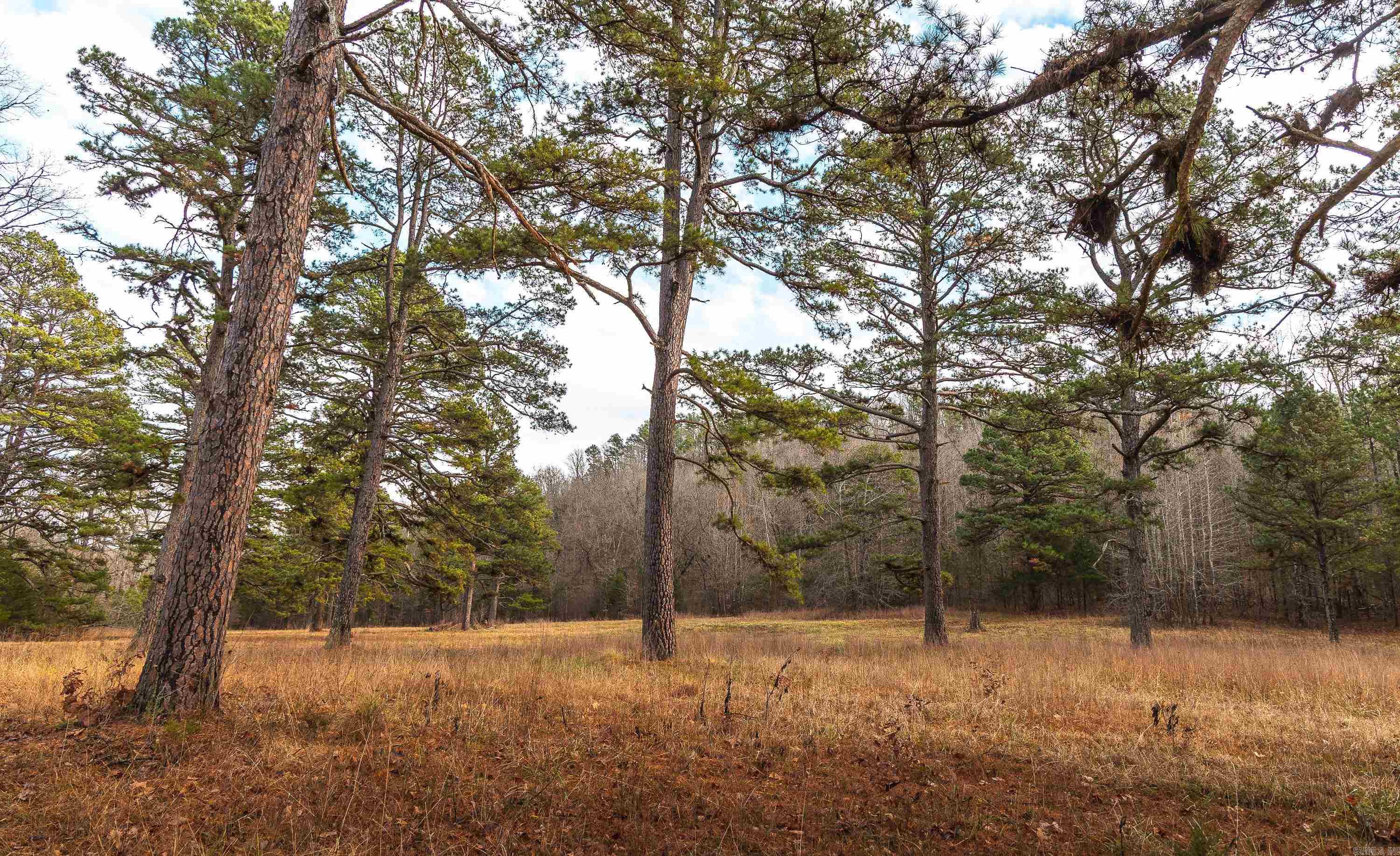 Not in Subdivision - Farm