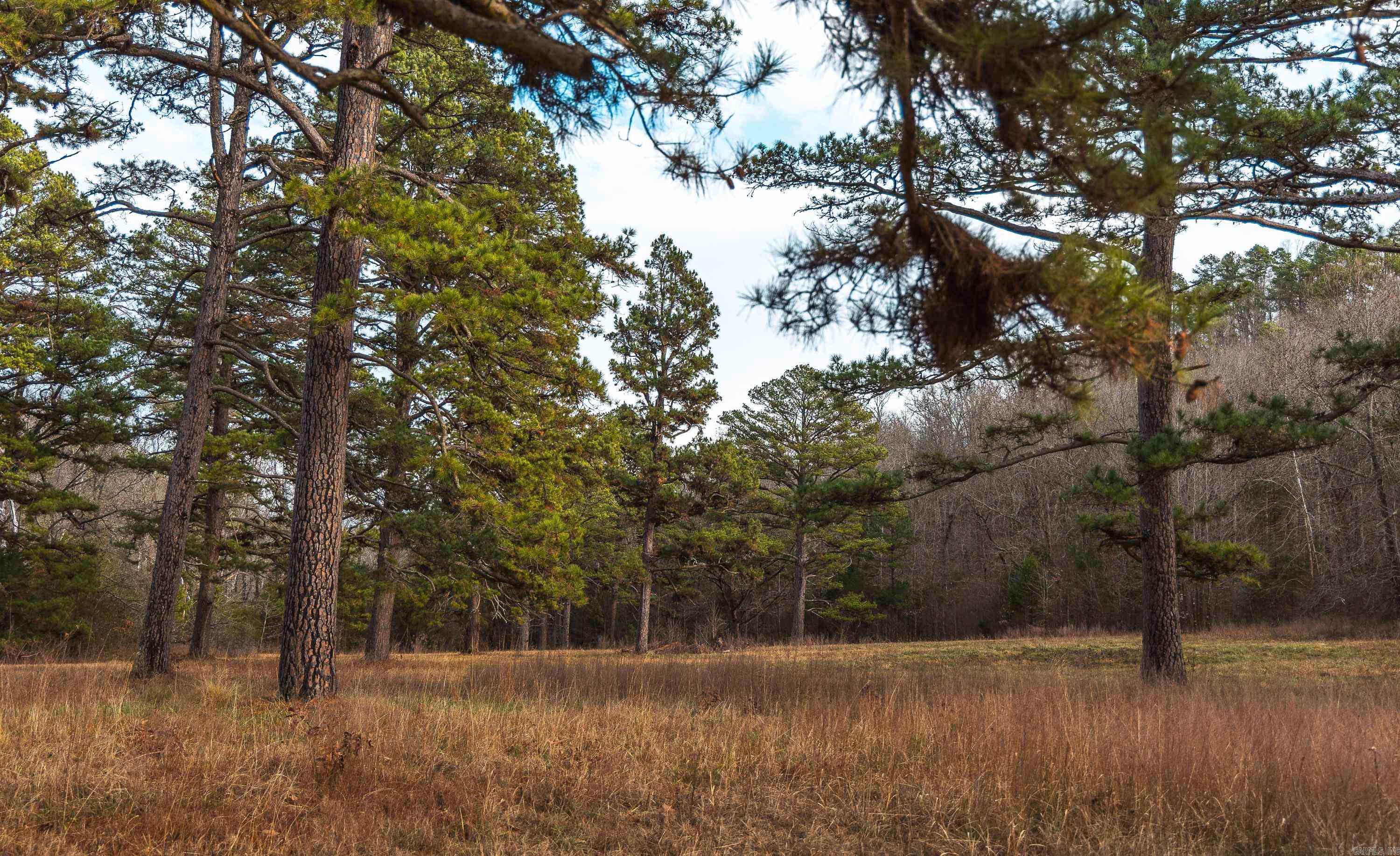 Not in Subdivision - Farm