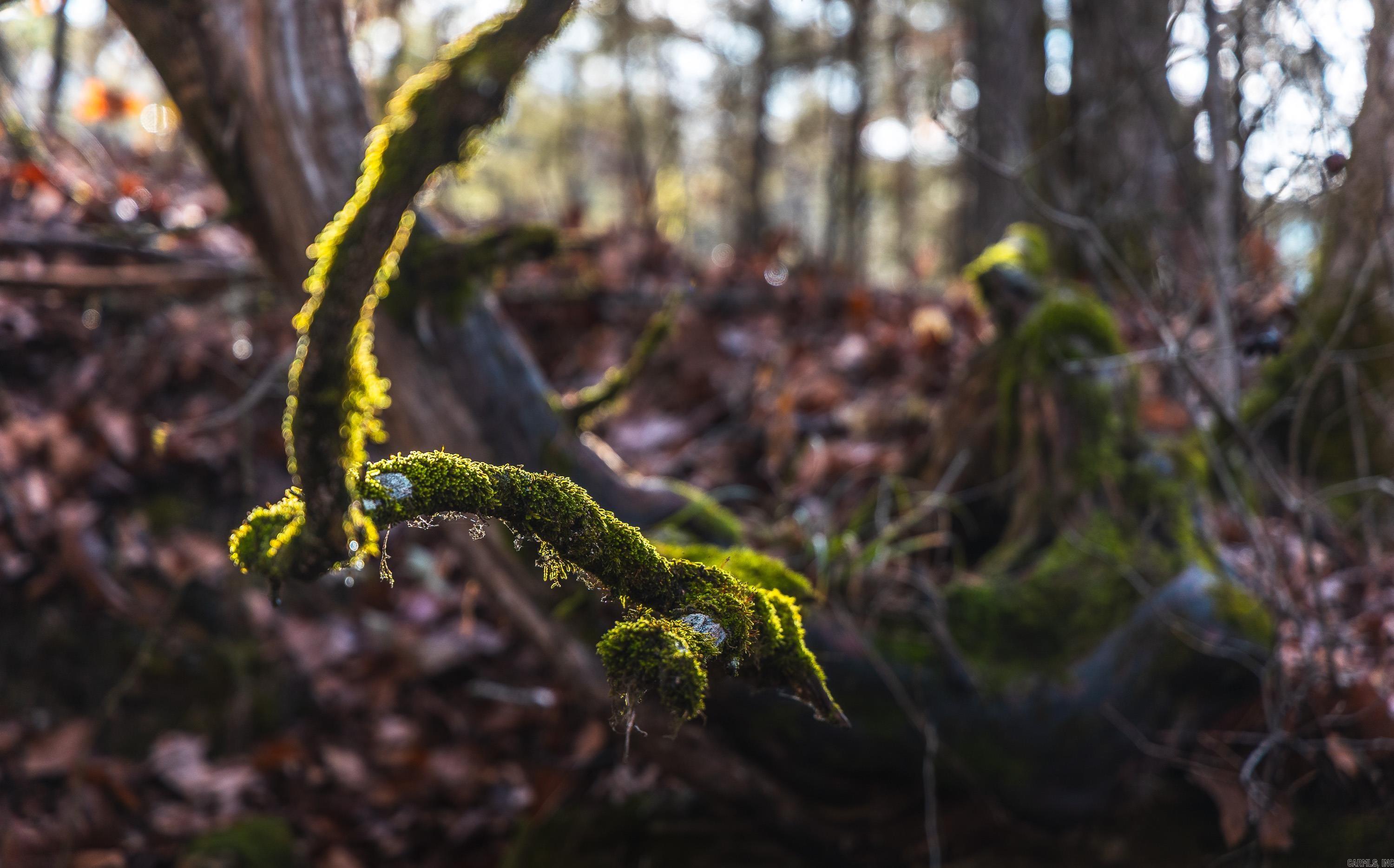 Not in Subdivision - Farm