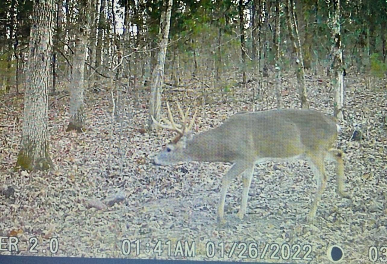 Not in Subdivision - Farm