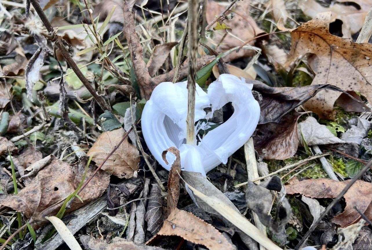 Not in Subdivision - Farm