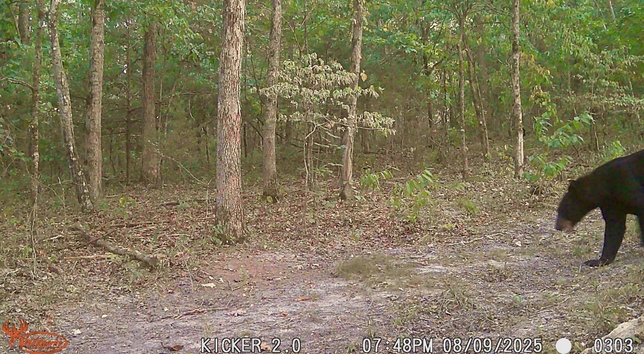 Not in Subdivision - Farm