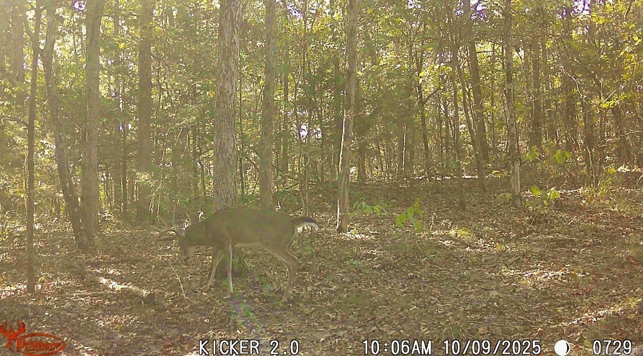 Not in Subdivision - Farm