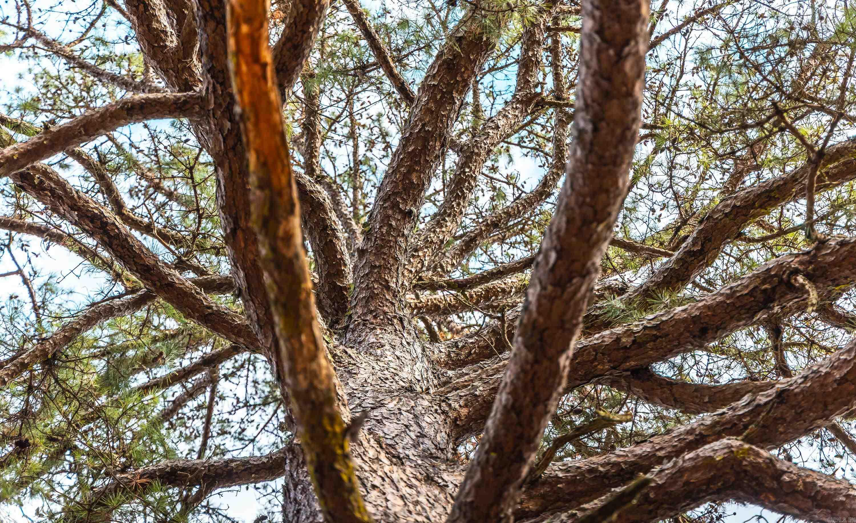 Not in Subdivision - Farm