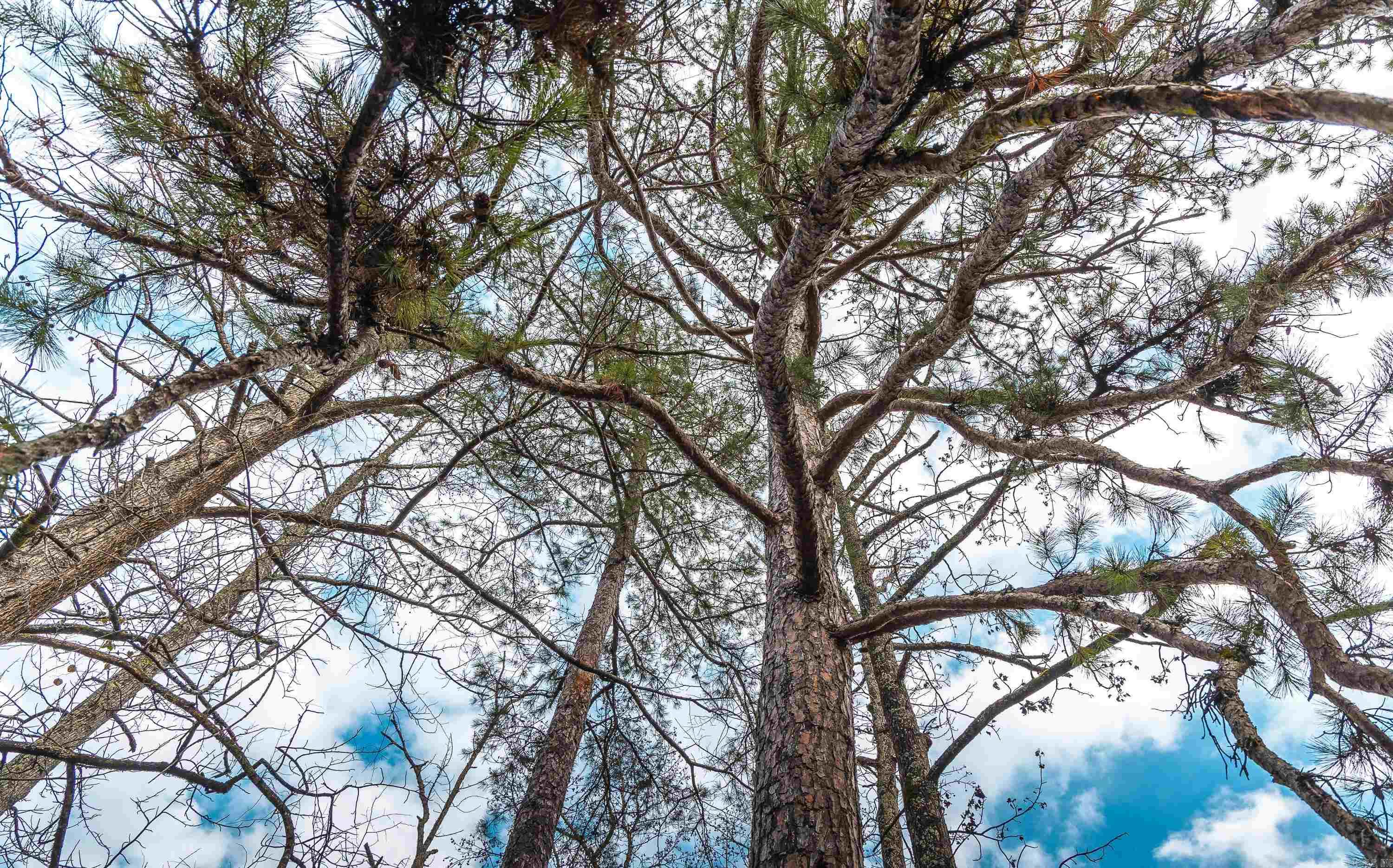 Not in Subdivision - Farm